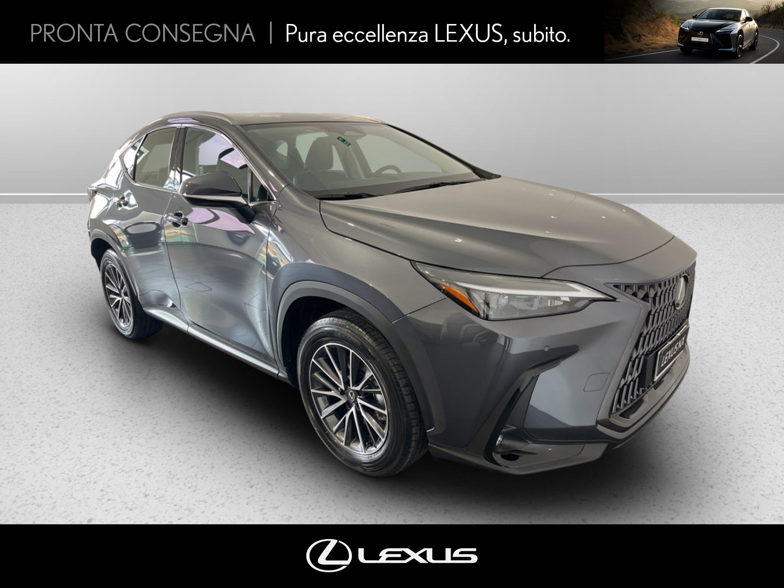 CARINI Lexus NX