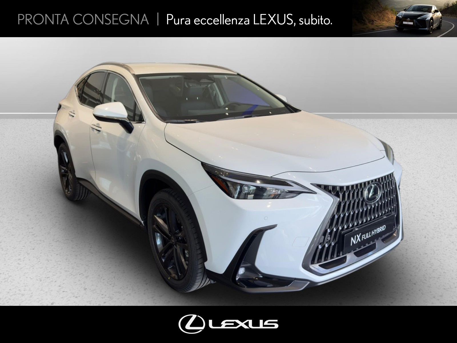 CARINI Lexus NX