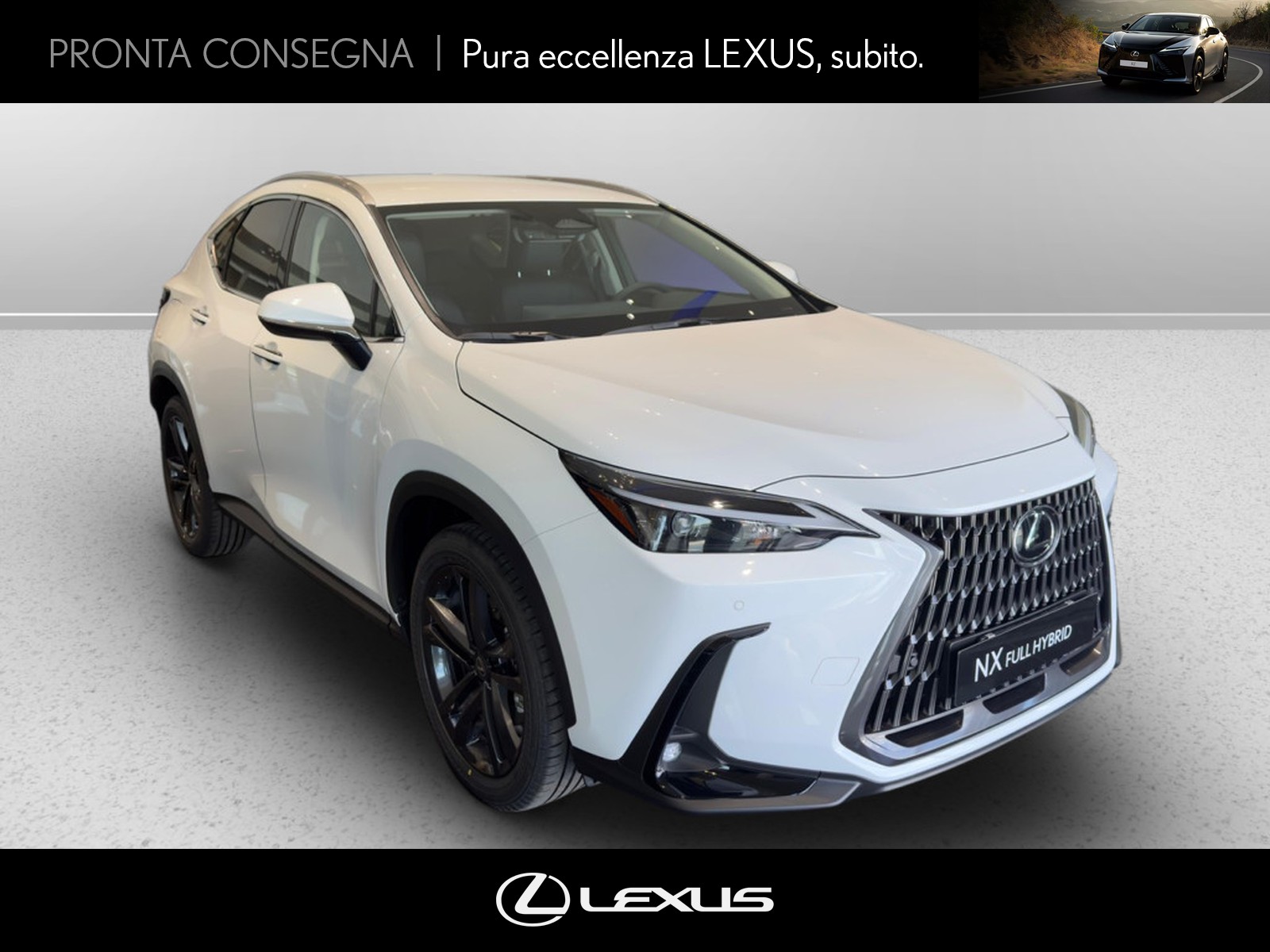 CARINI Lexus NX