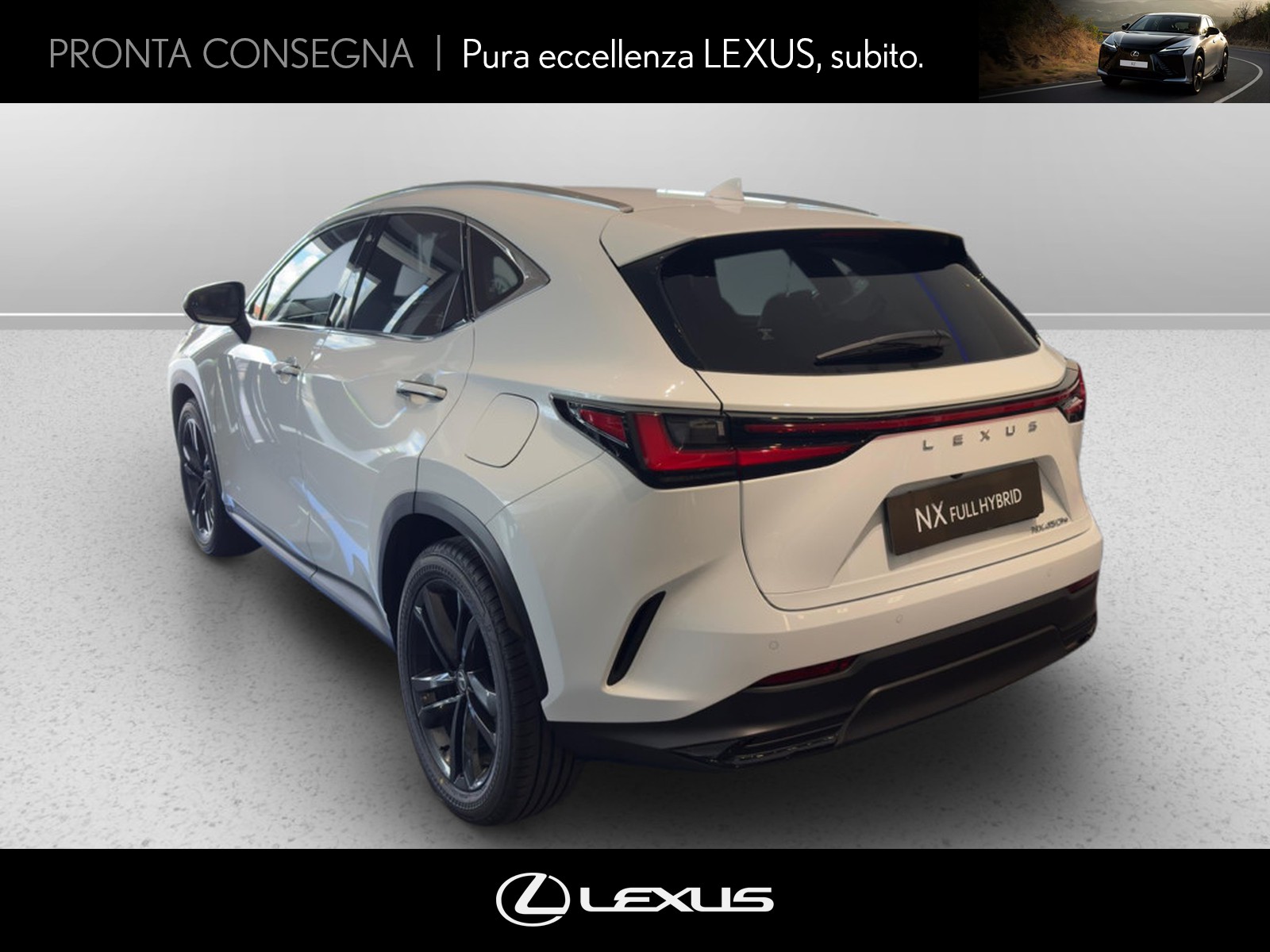CARINI Lexus NX