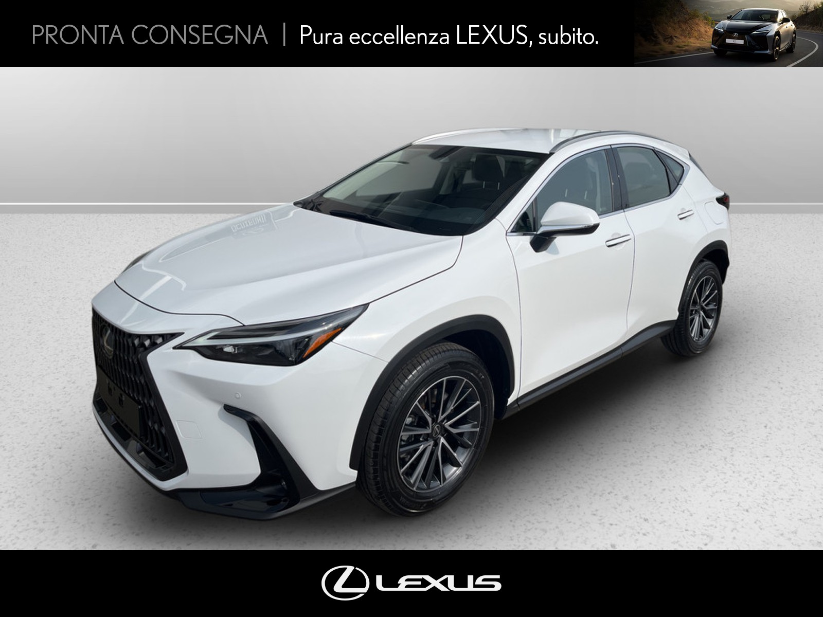 CARINI Lexus NX