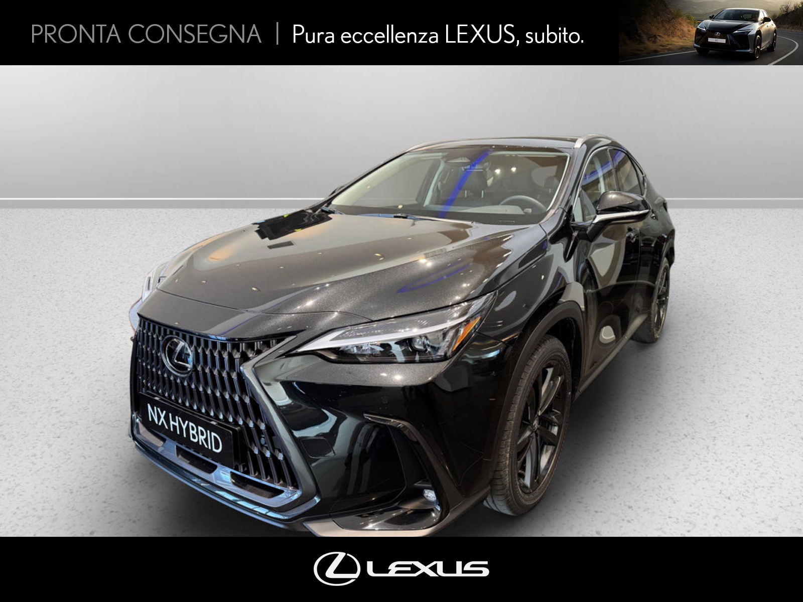 CARINI Lexus NX