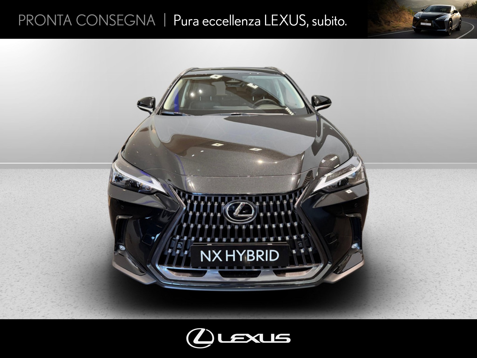 CARINI Lexus NX