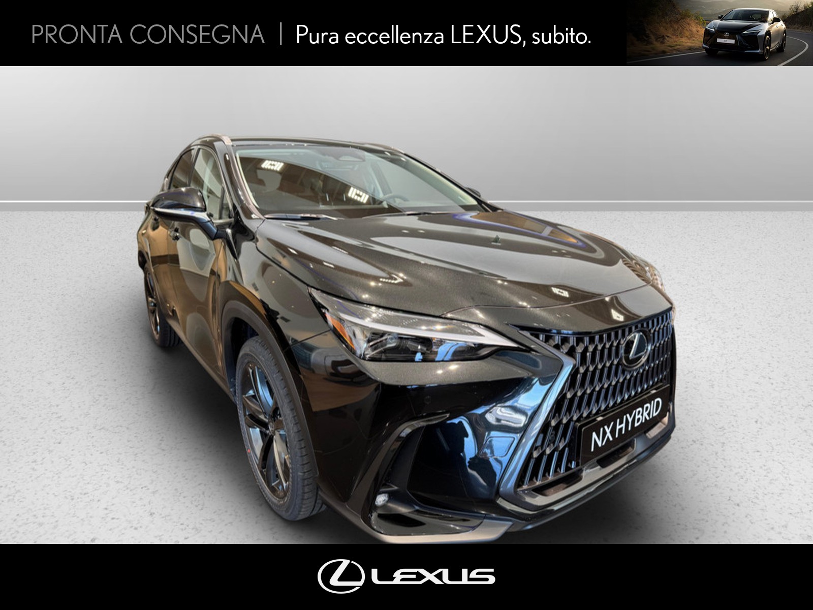 CARINI Lexus NX