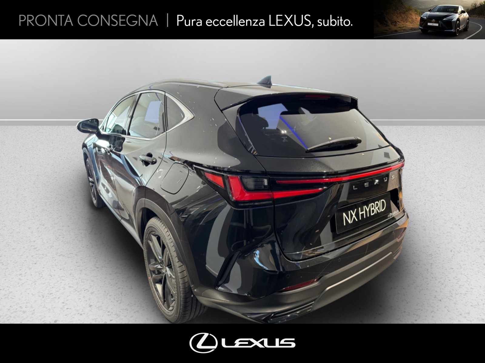 CARINI Lexus NX