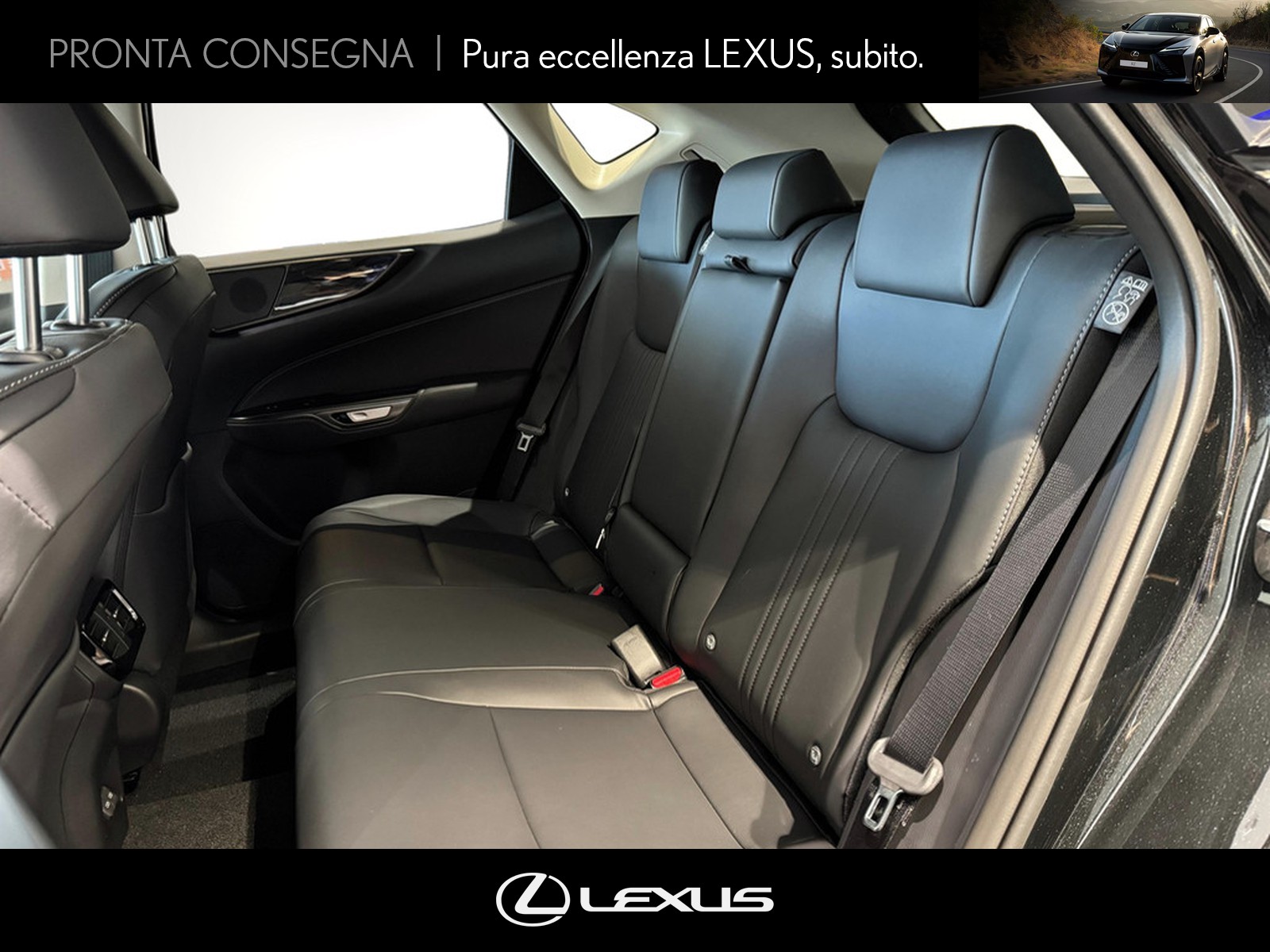 CARINI Lexus NX