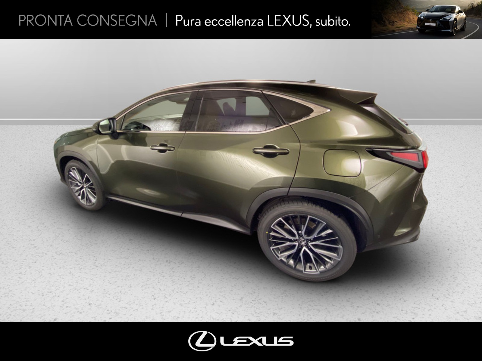 CARINI Lexus NX