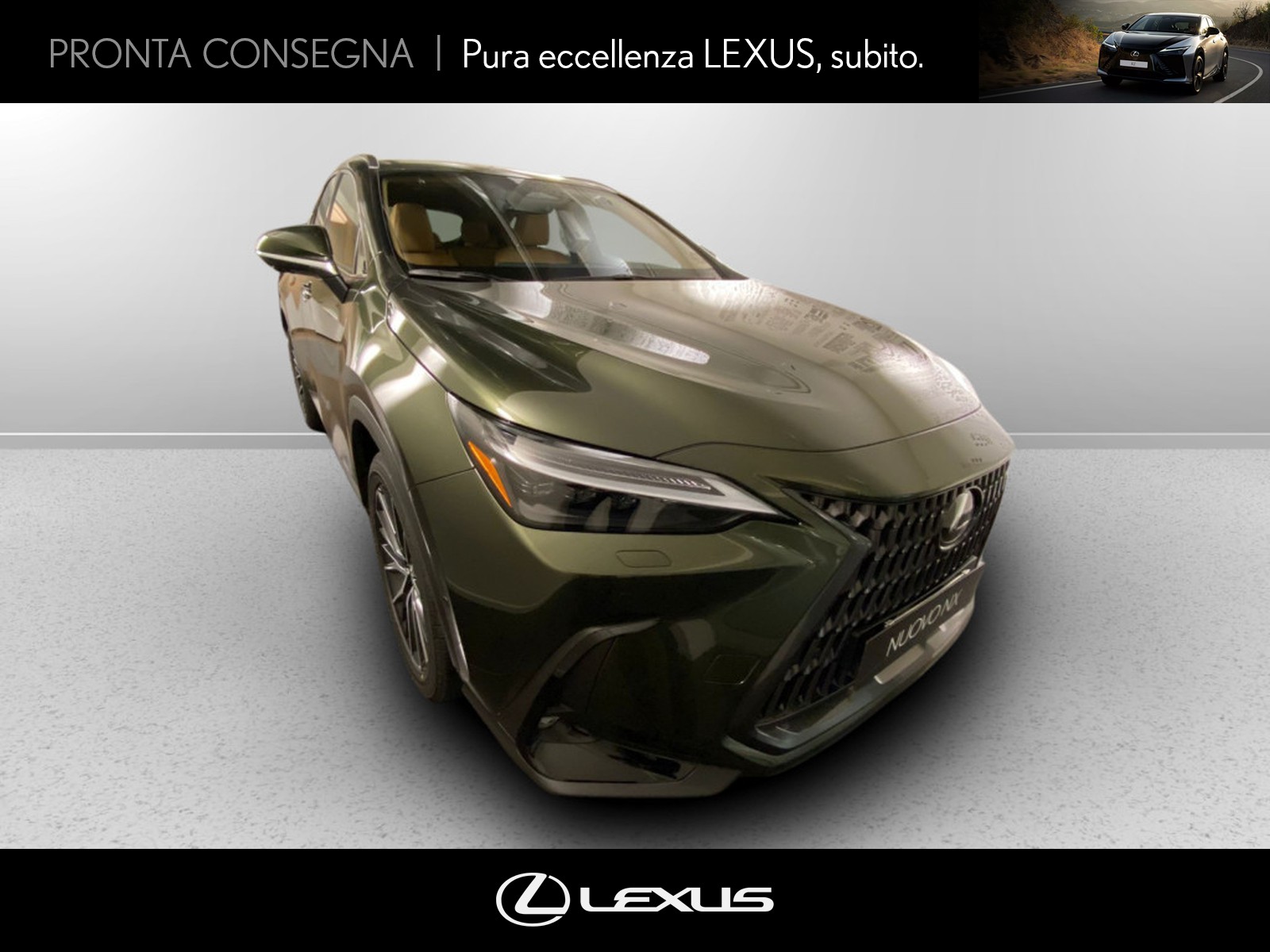CARINI Lexus NX