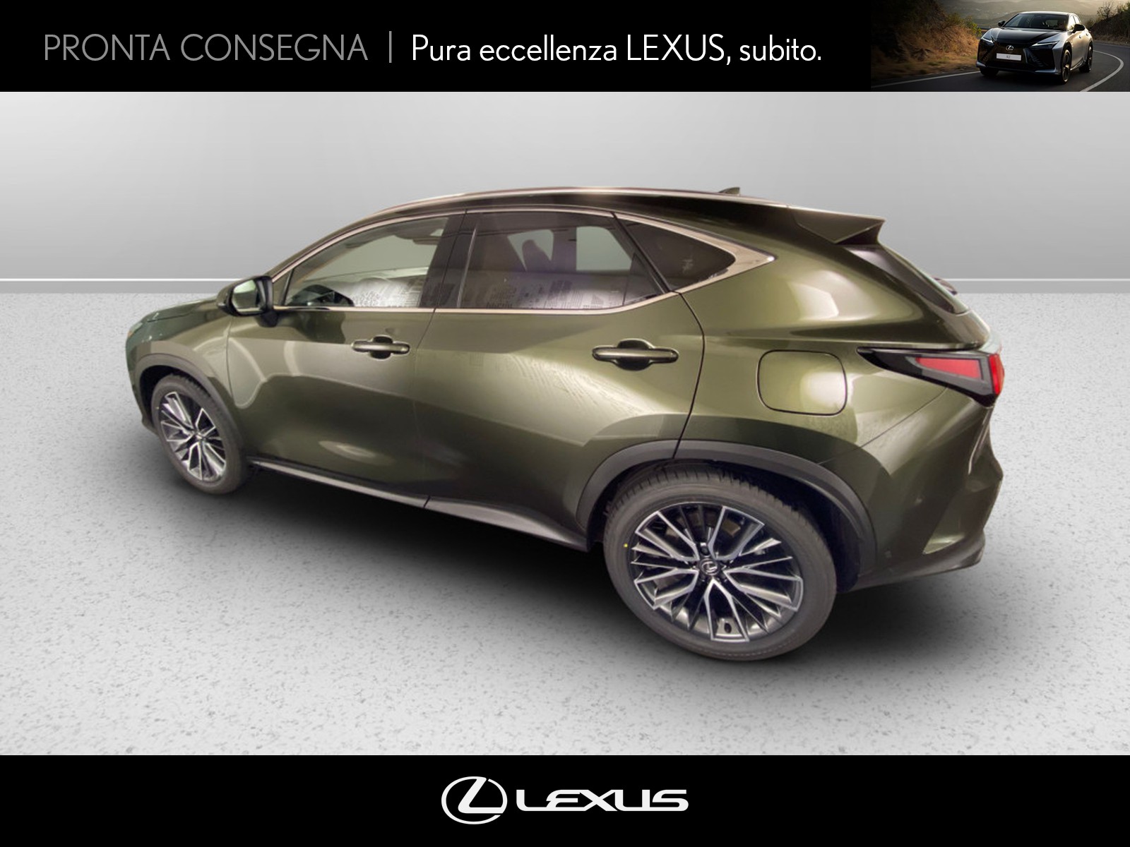 CARINI Lexus NX