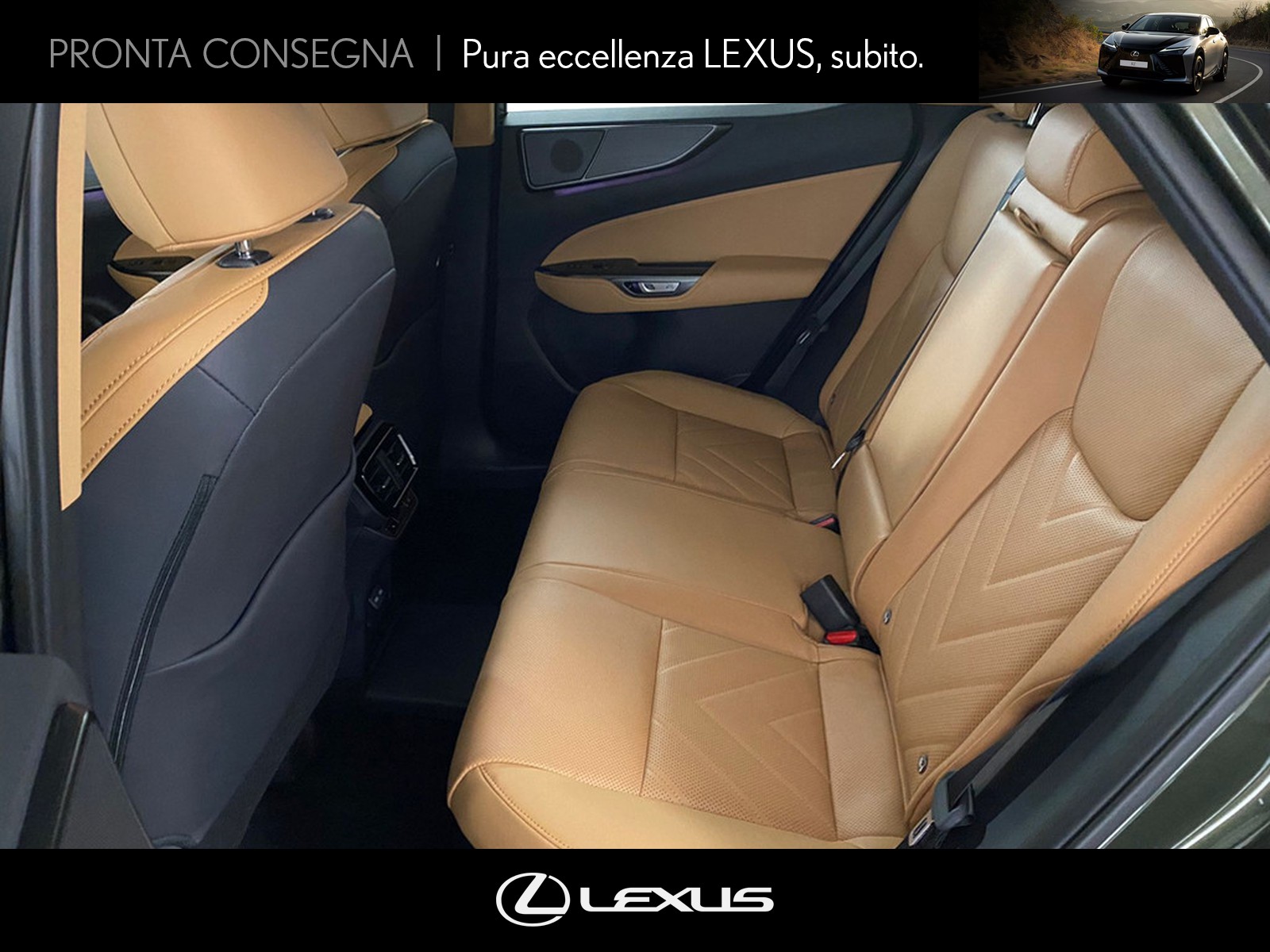 CARINI Lexus NX