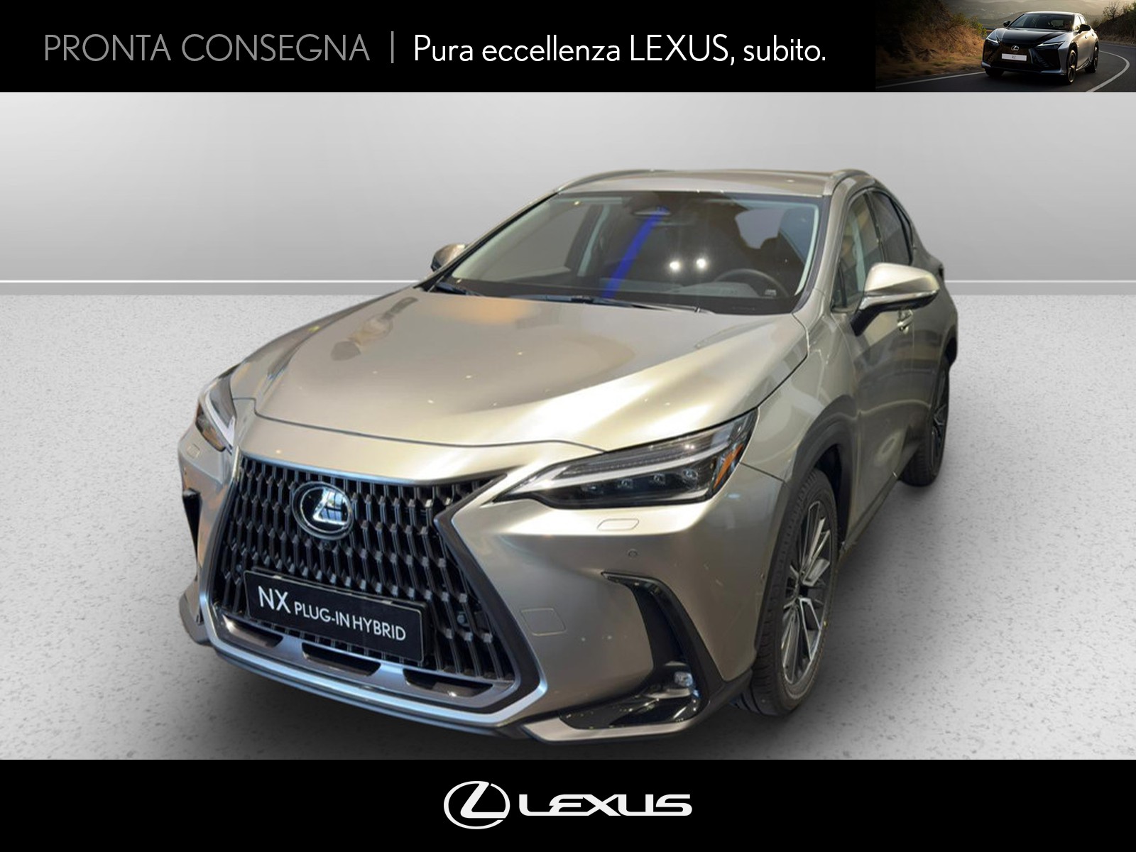 CARINI Lexus NX