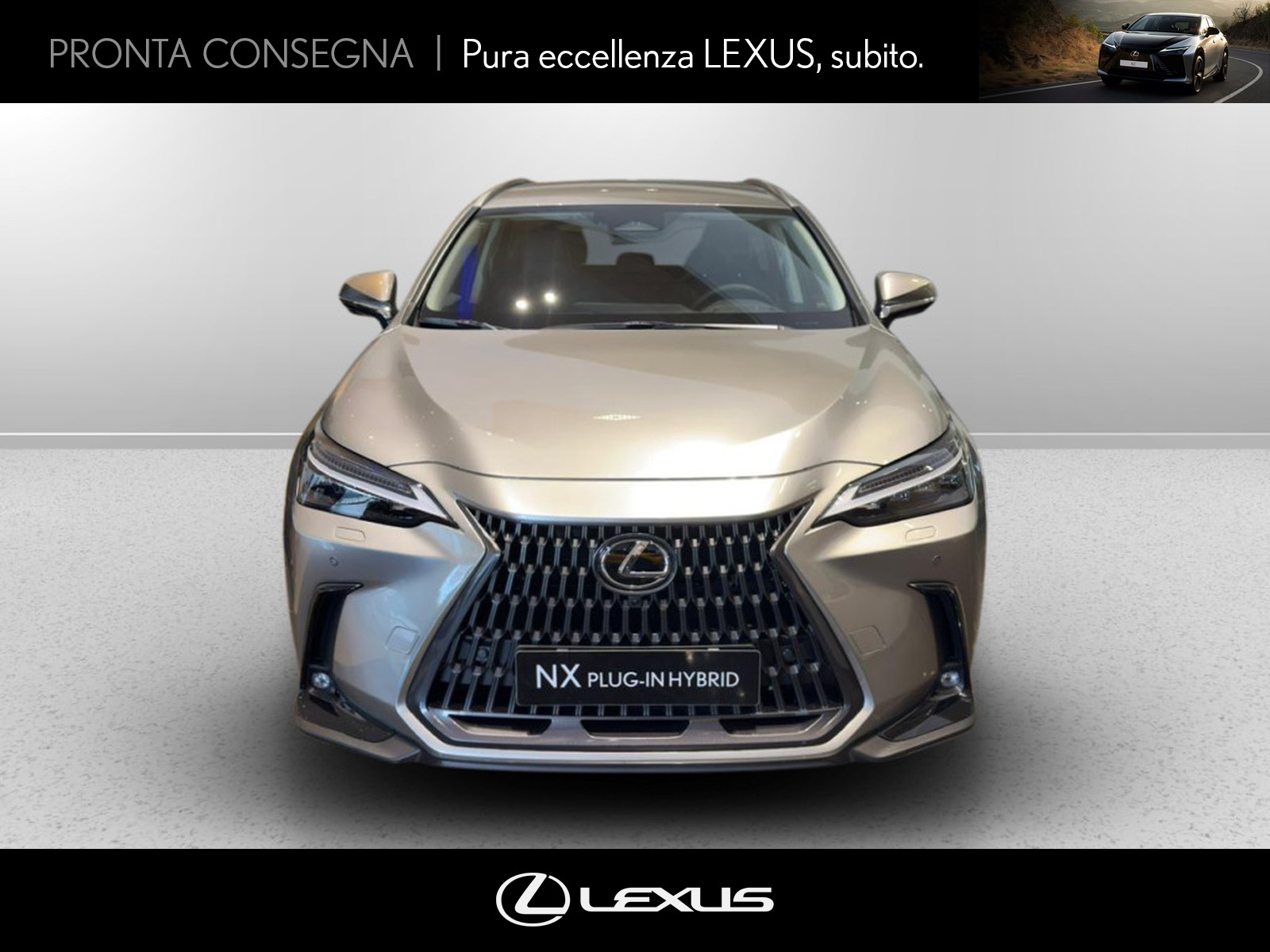 CARINI Lexus NX