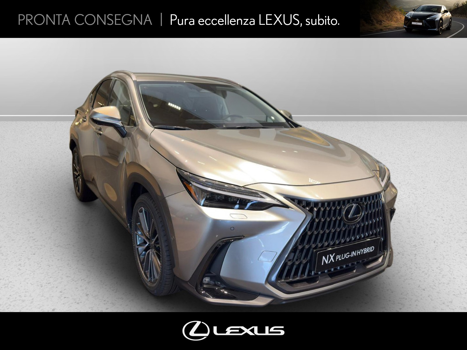 CARINI Lexus NX