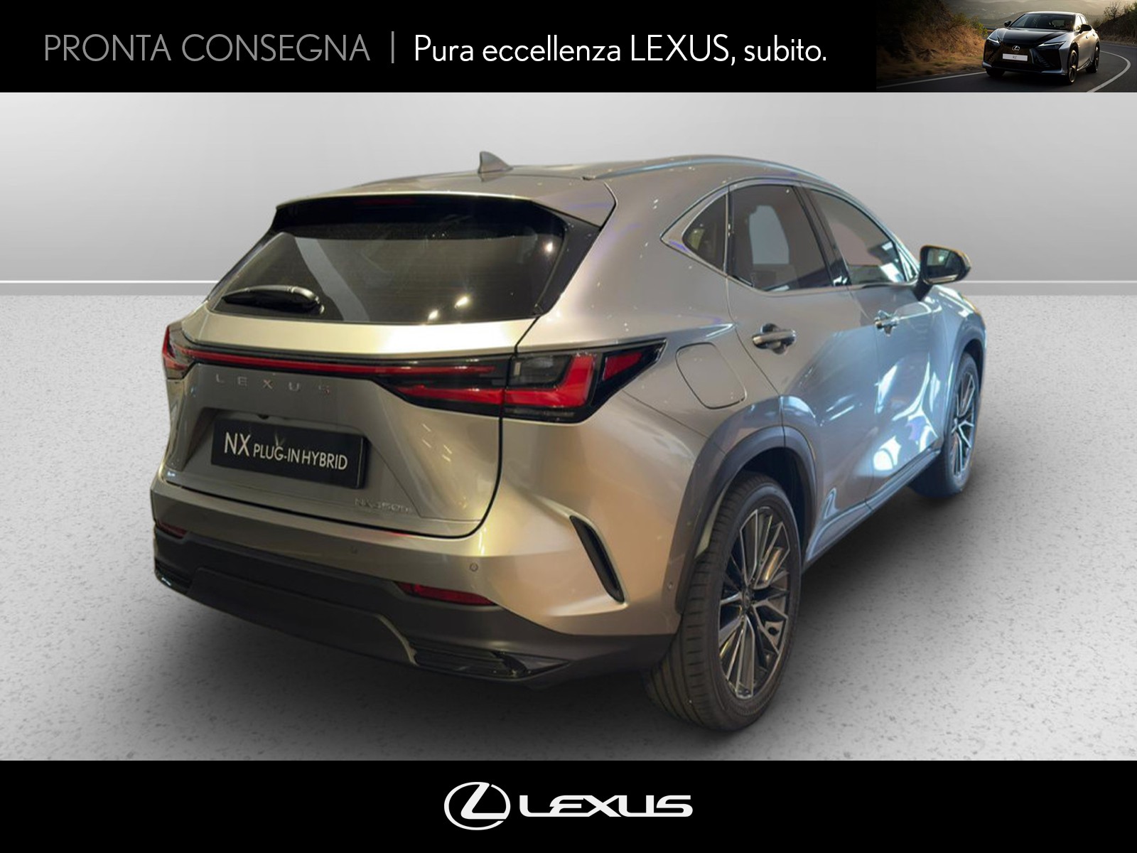 CARINI Lexus NX