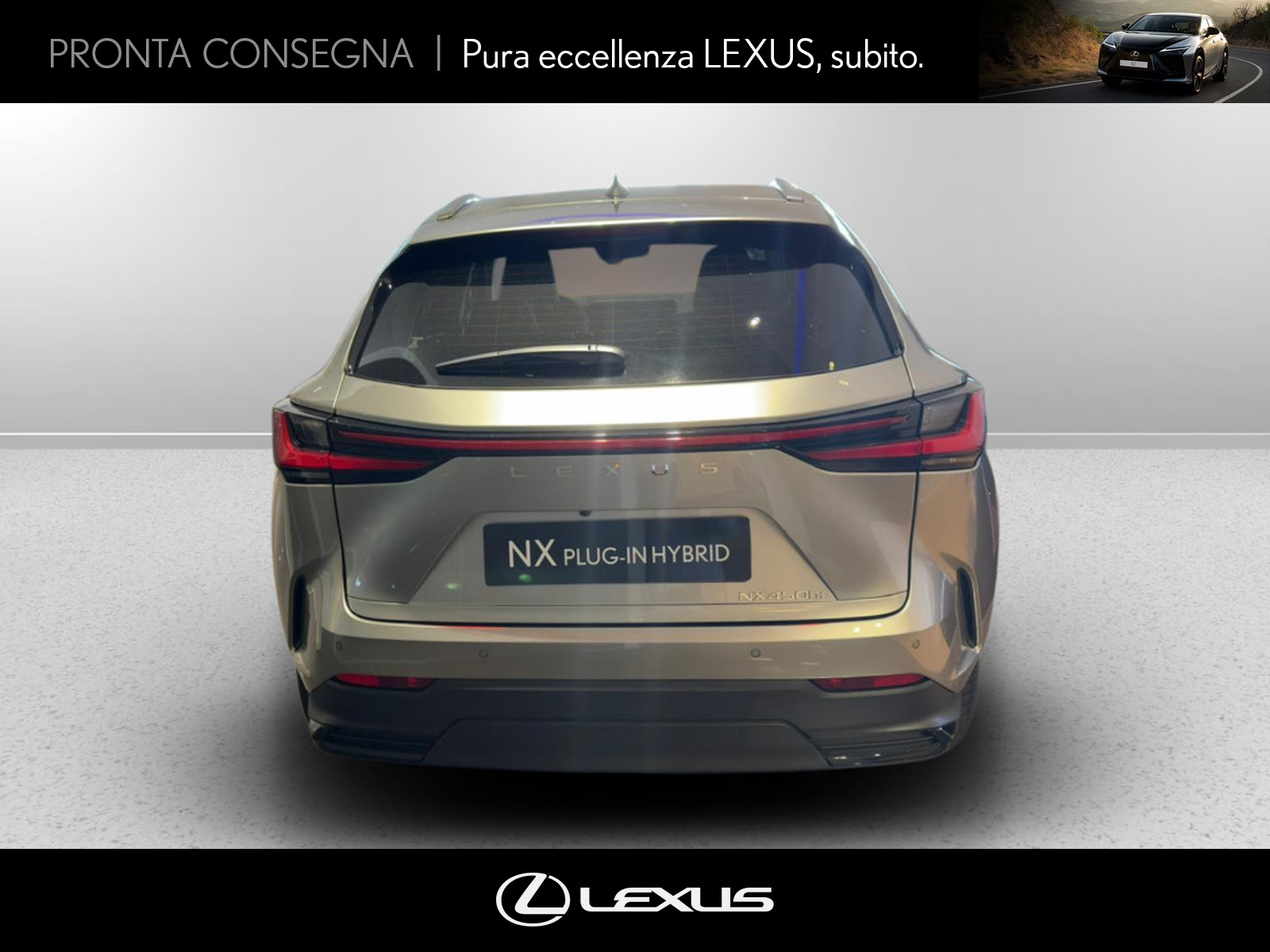 CARINI Lexus NX