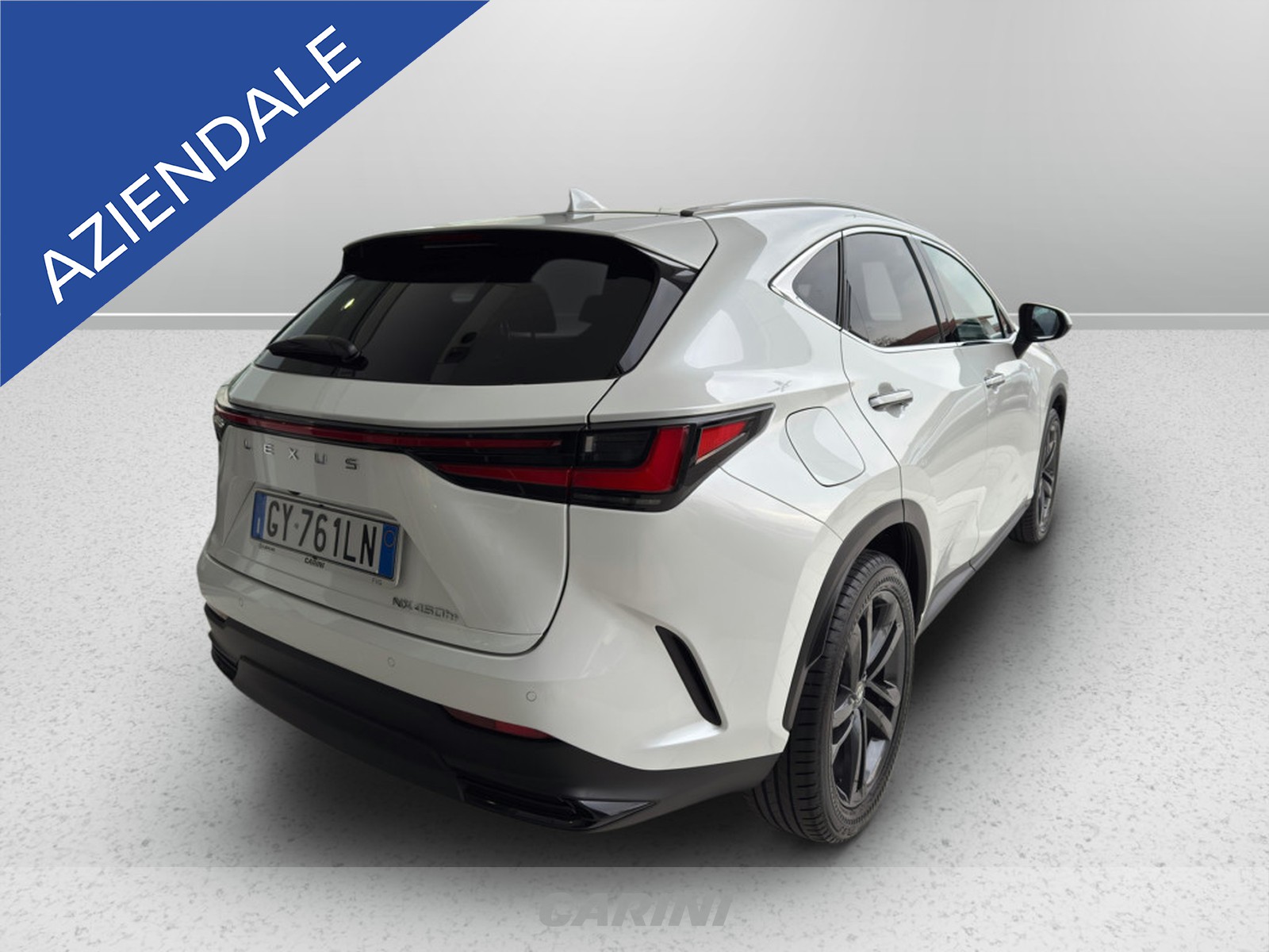 CARINI Lexus NX