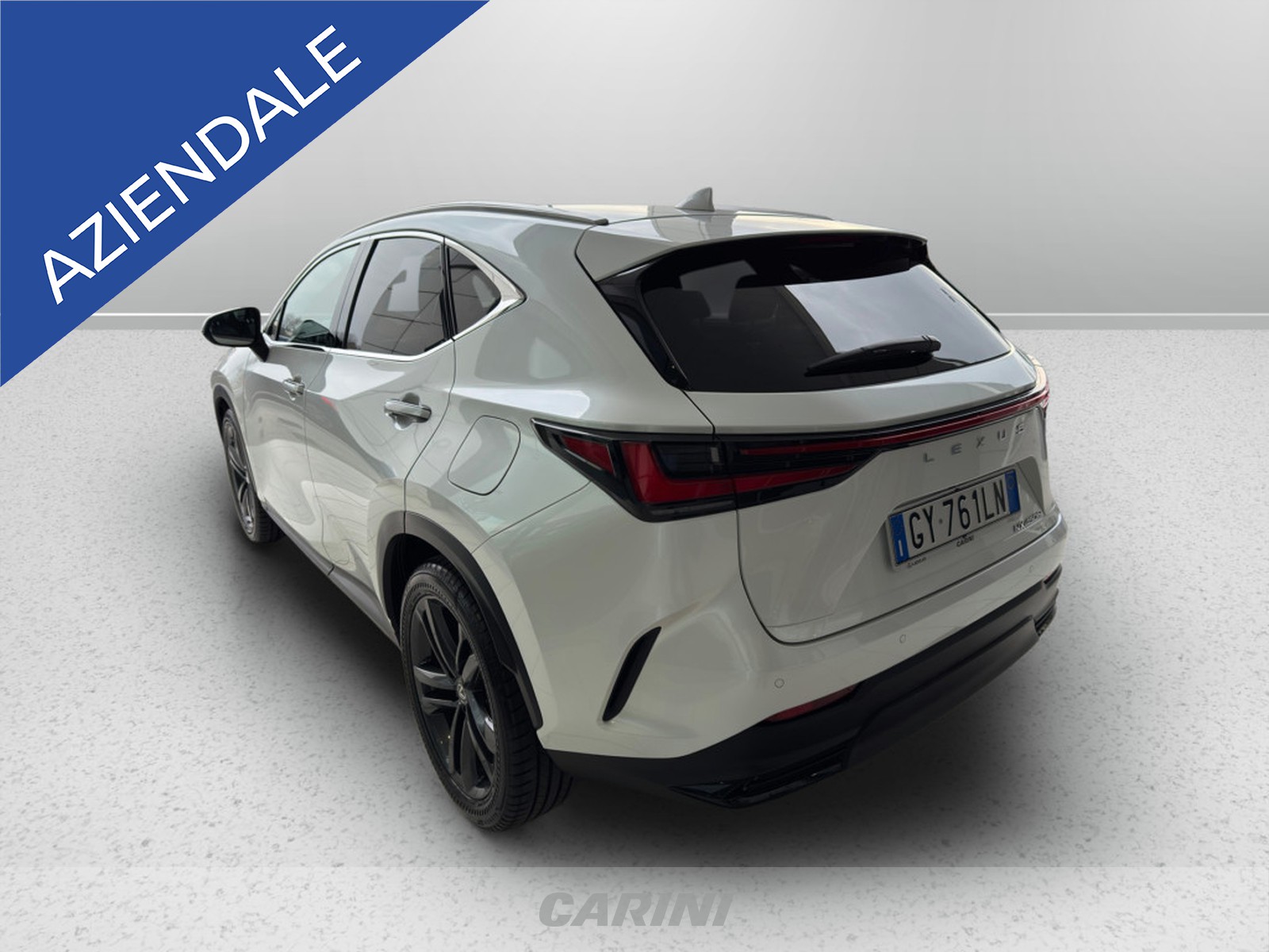 CARINI Lexus NX