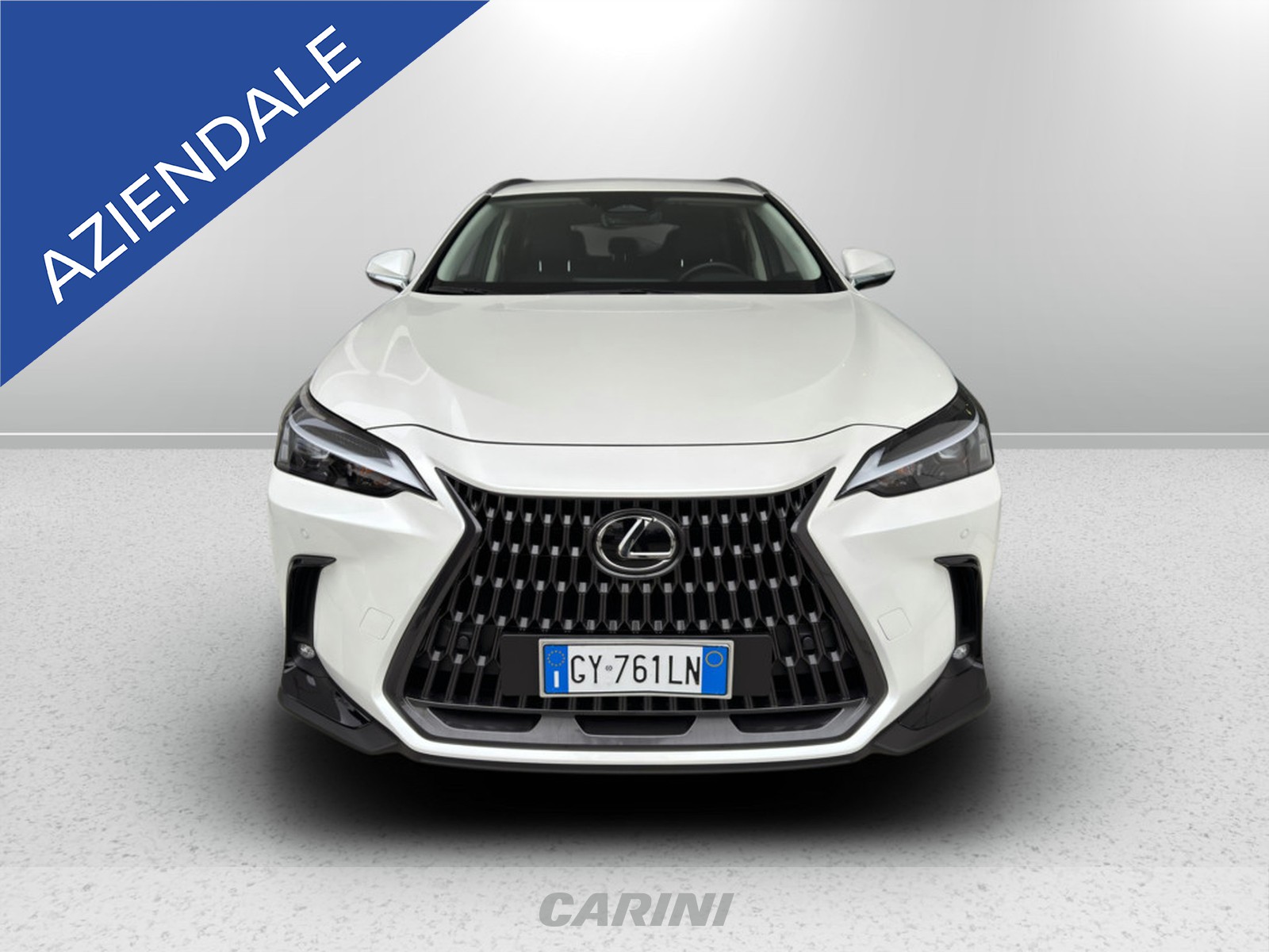 CARINI Lexus NX