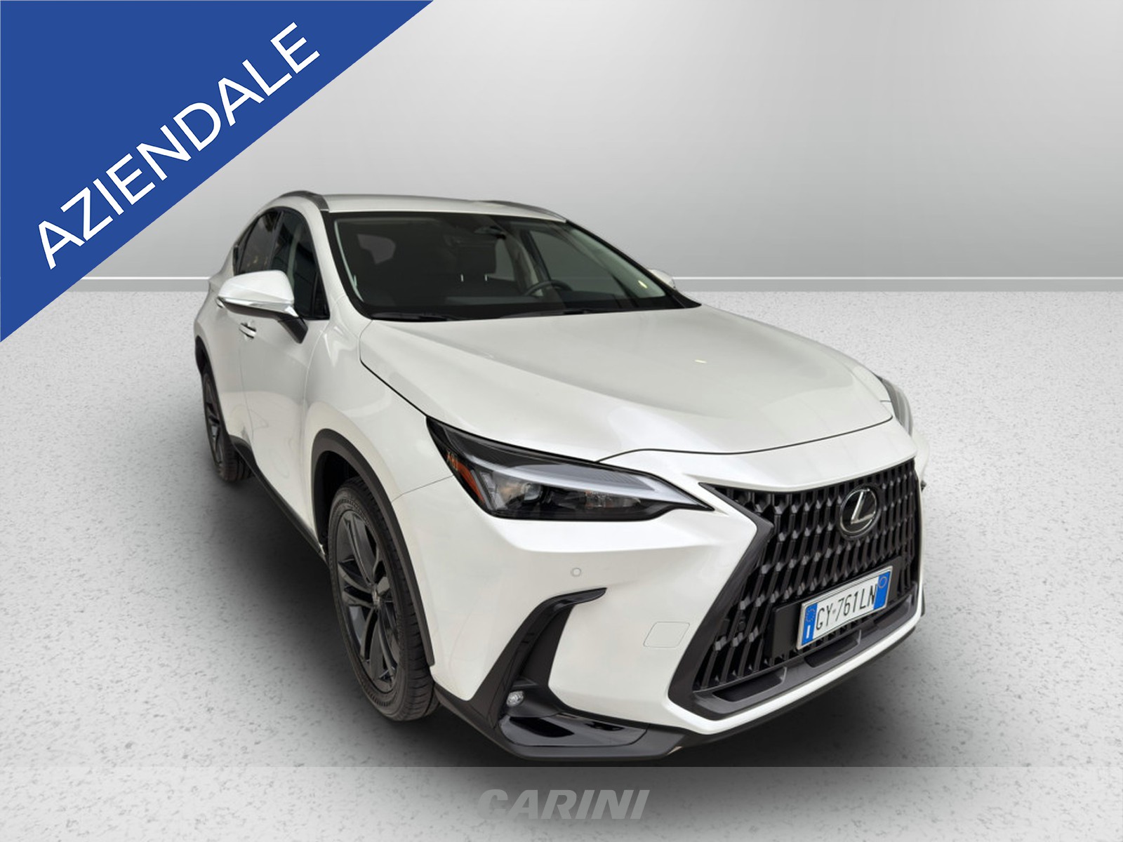 CARINI Lexus NX