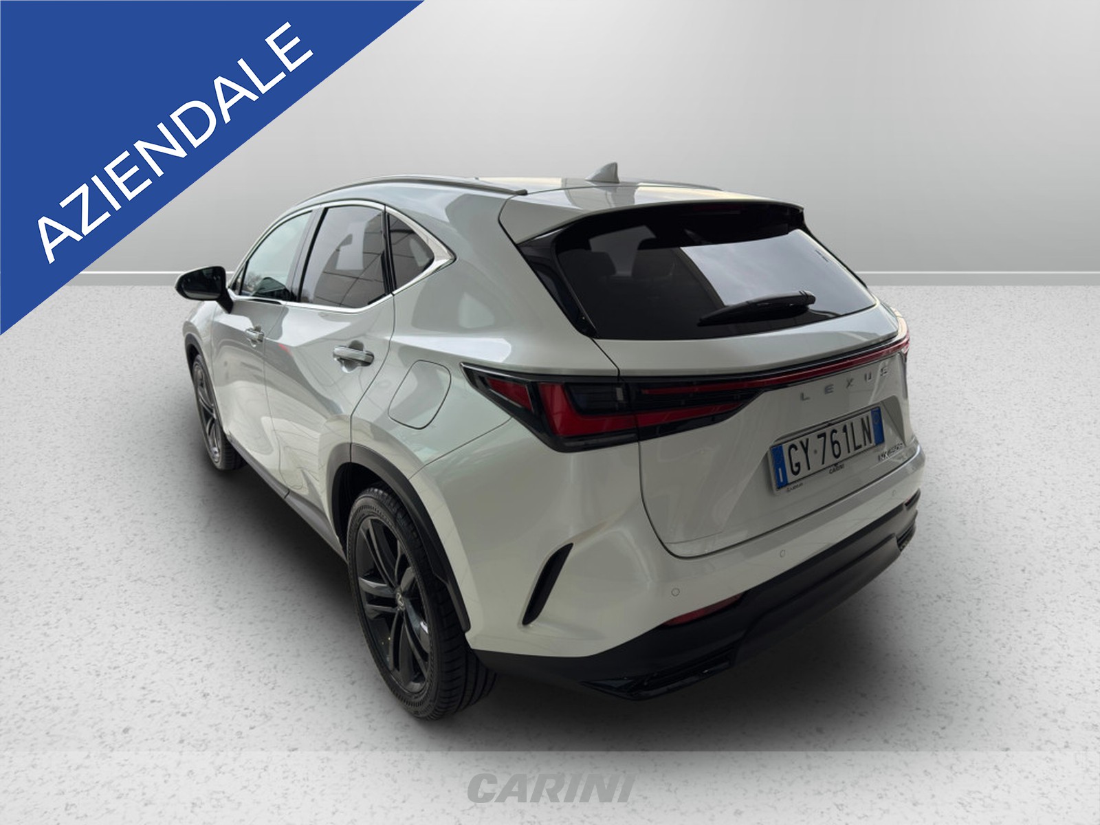 CARINI Lexus NX