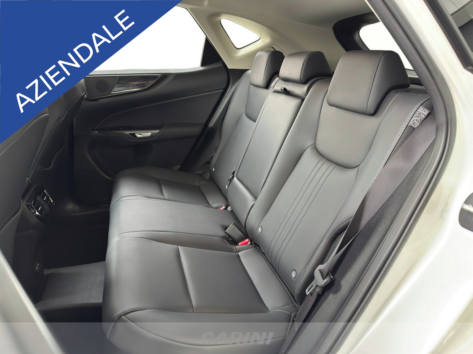 CARINI Lexus NX
