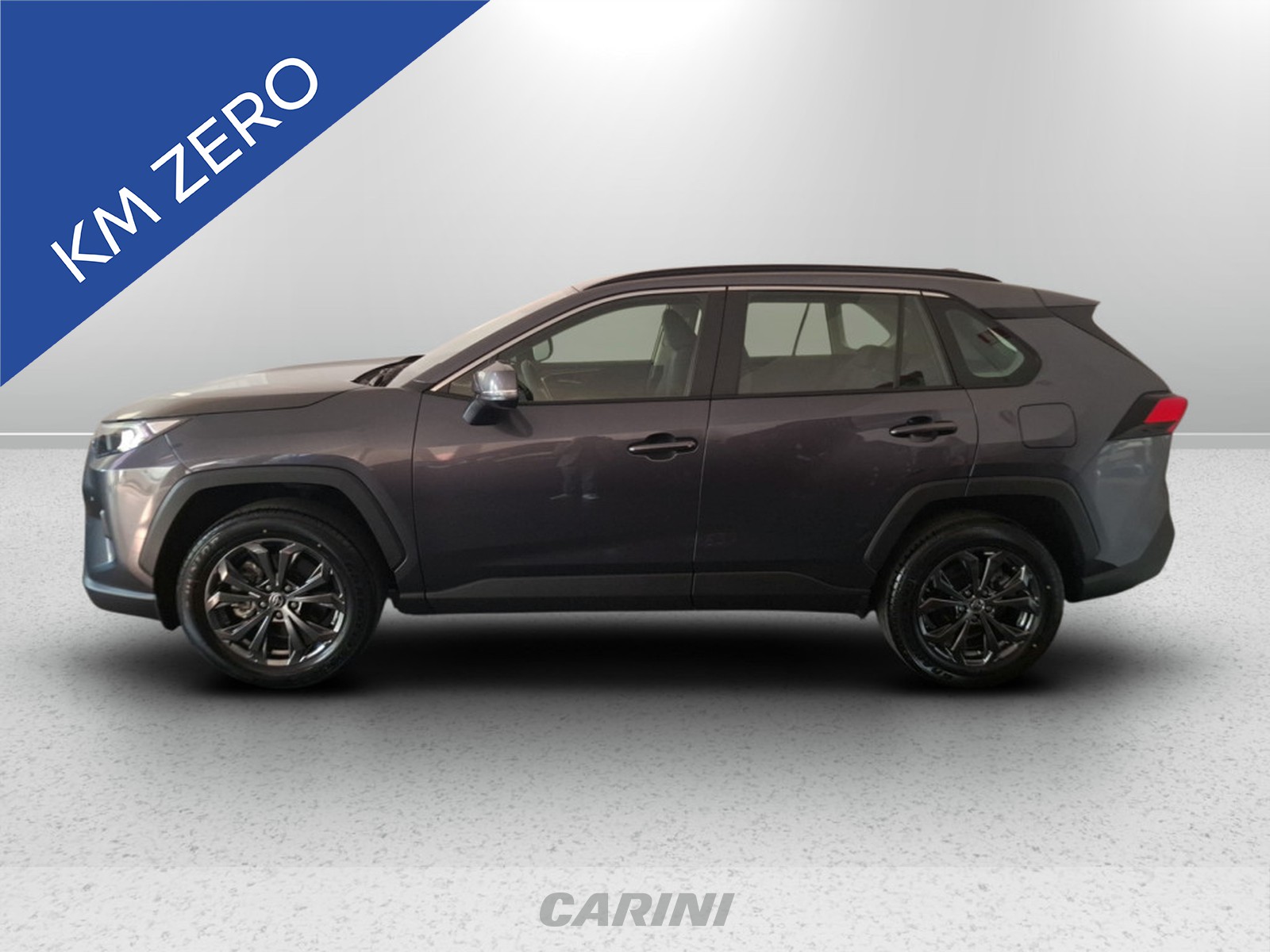 CARINI Toyota Rav4