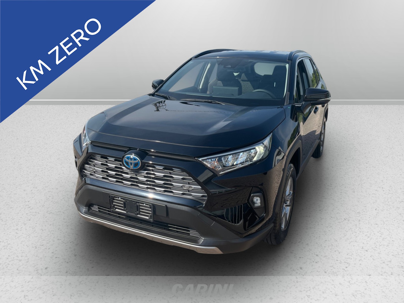 CARINI Toyota Rav4