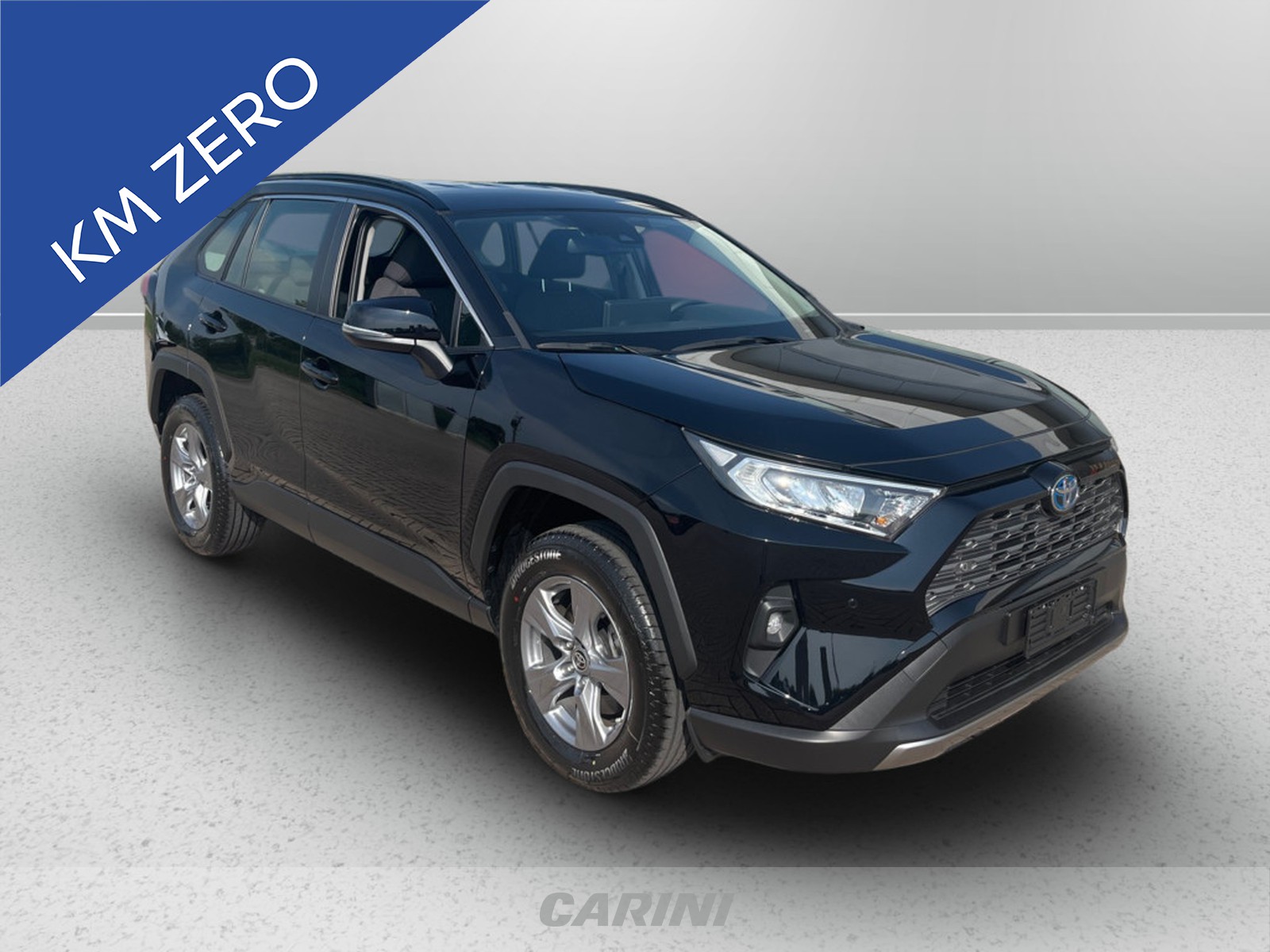 CARINI Toyota Rav4