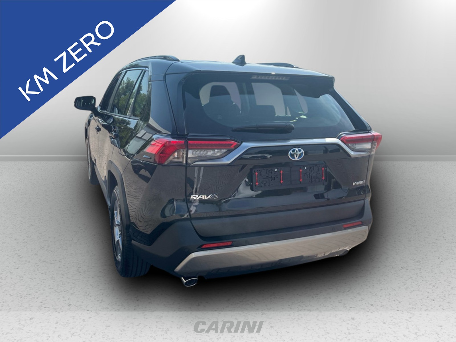 CARINI Toyota Rav4