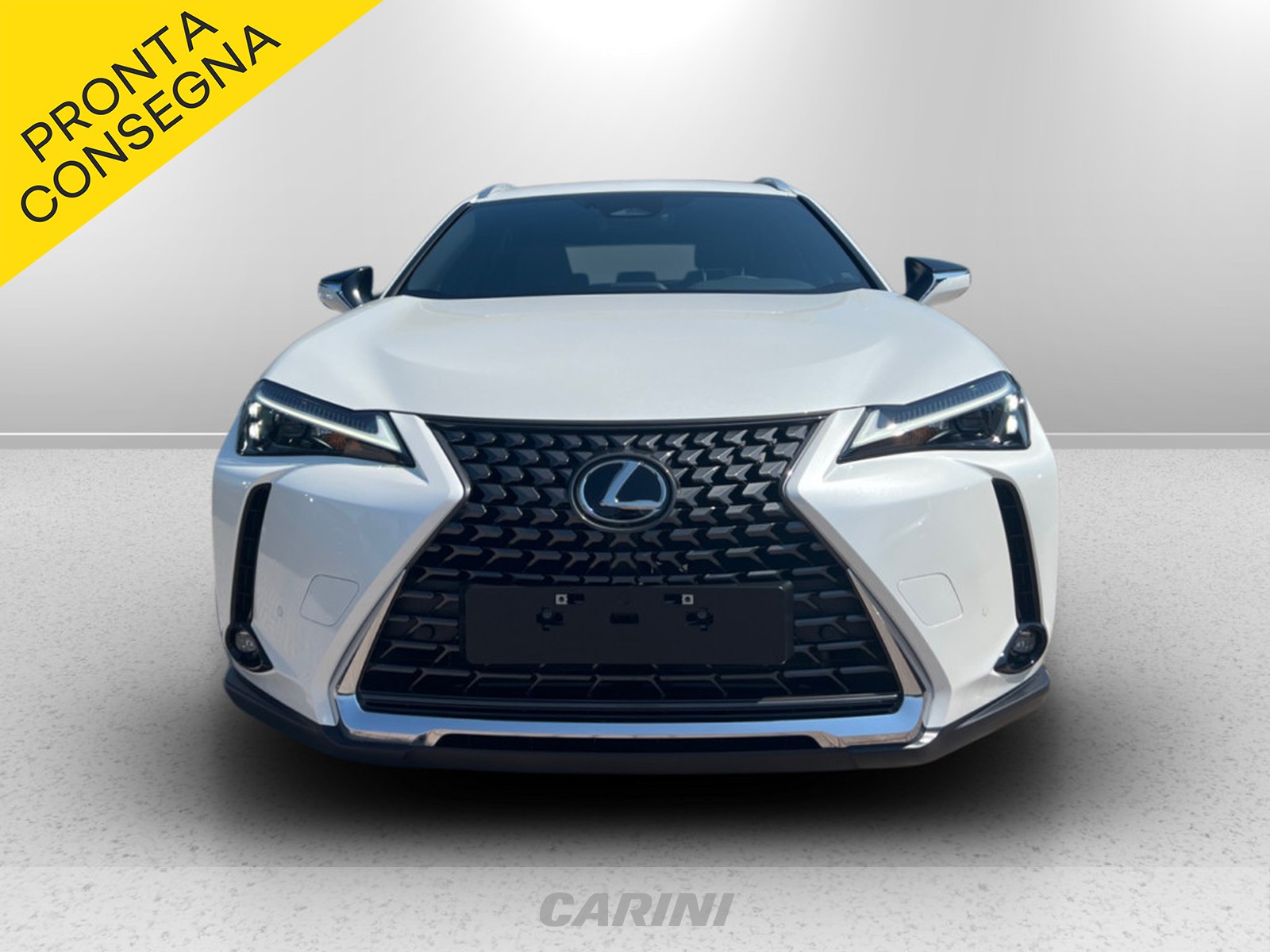 CARINI Lexus UX