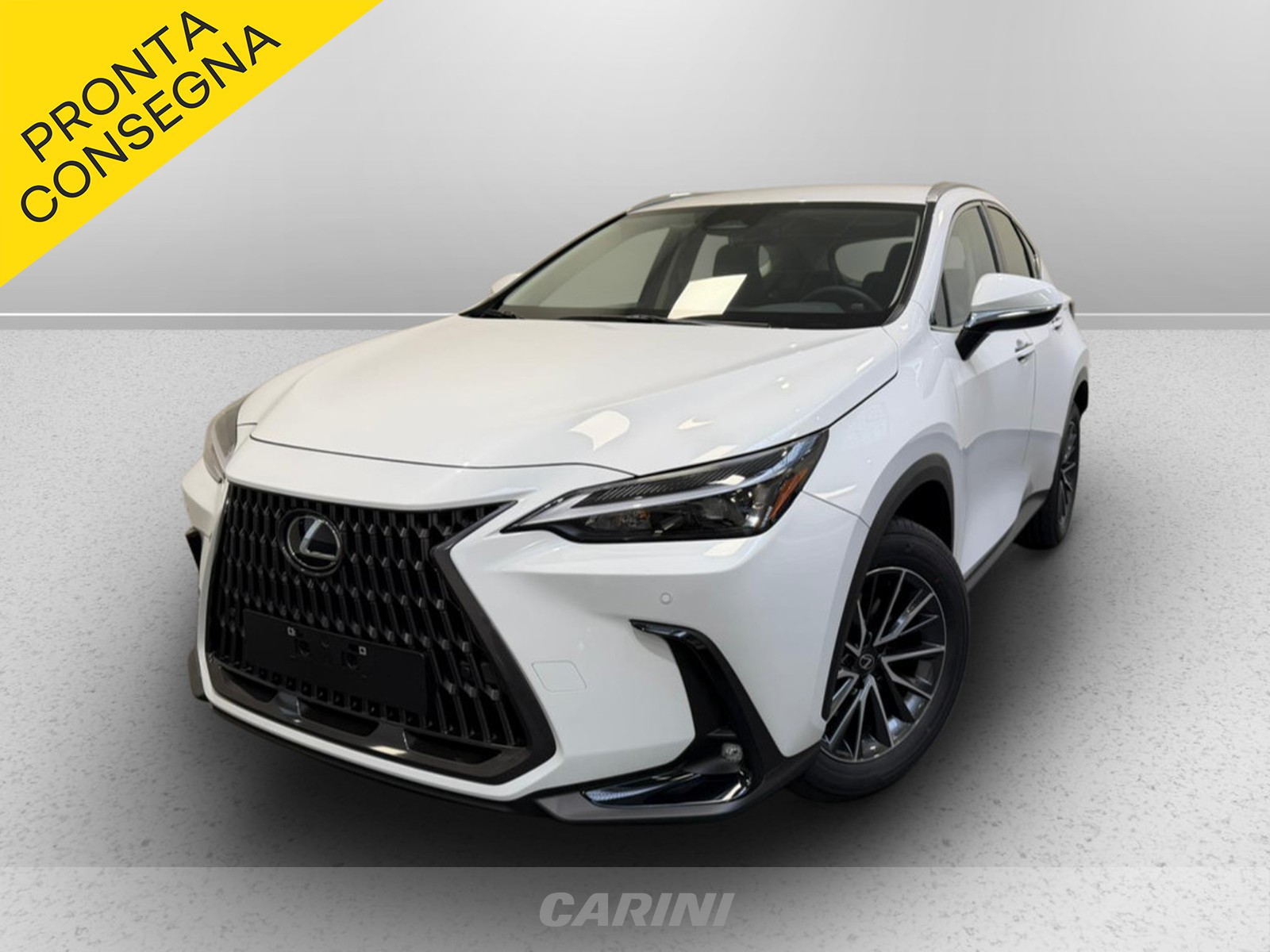 CARINI Lexus NX