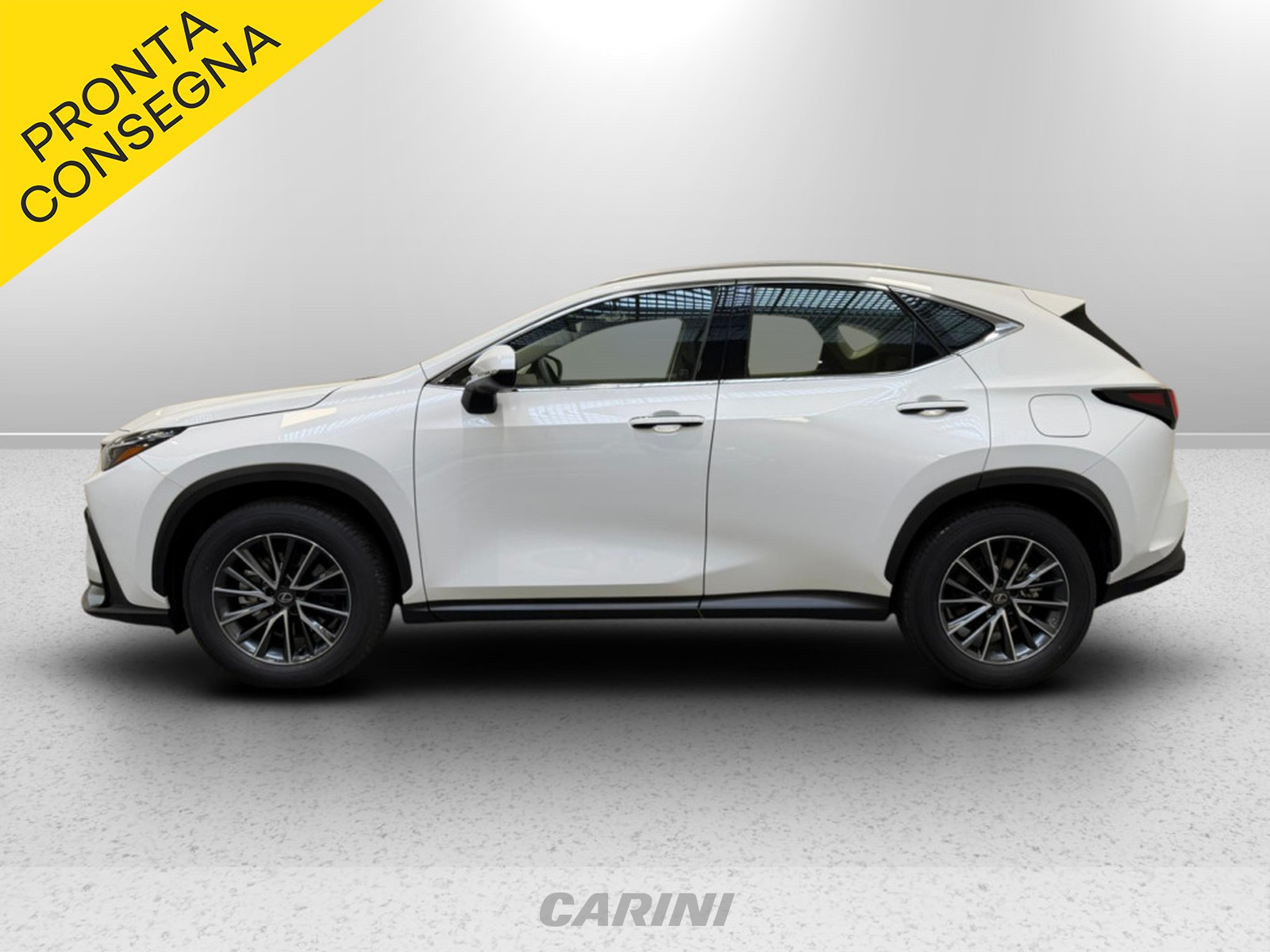 CARINI Lexus NX