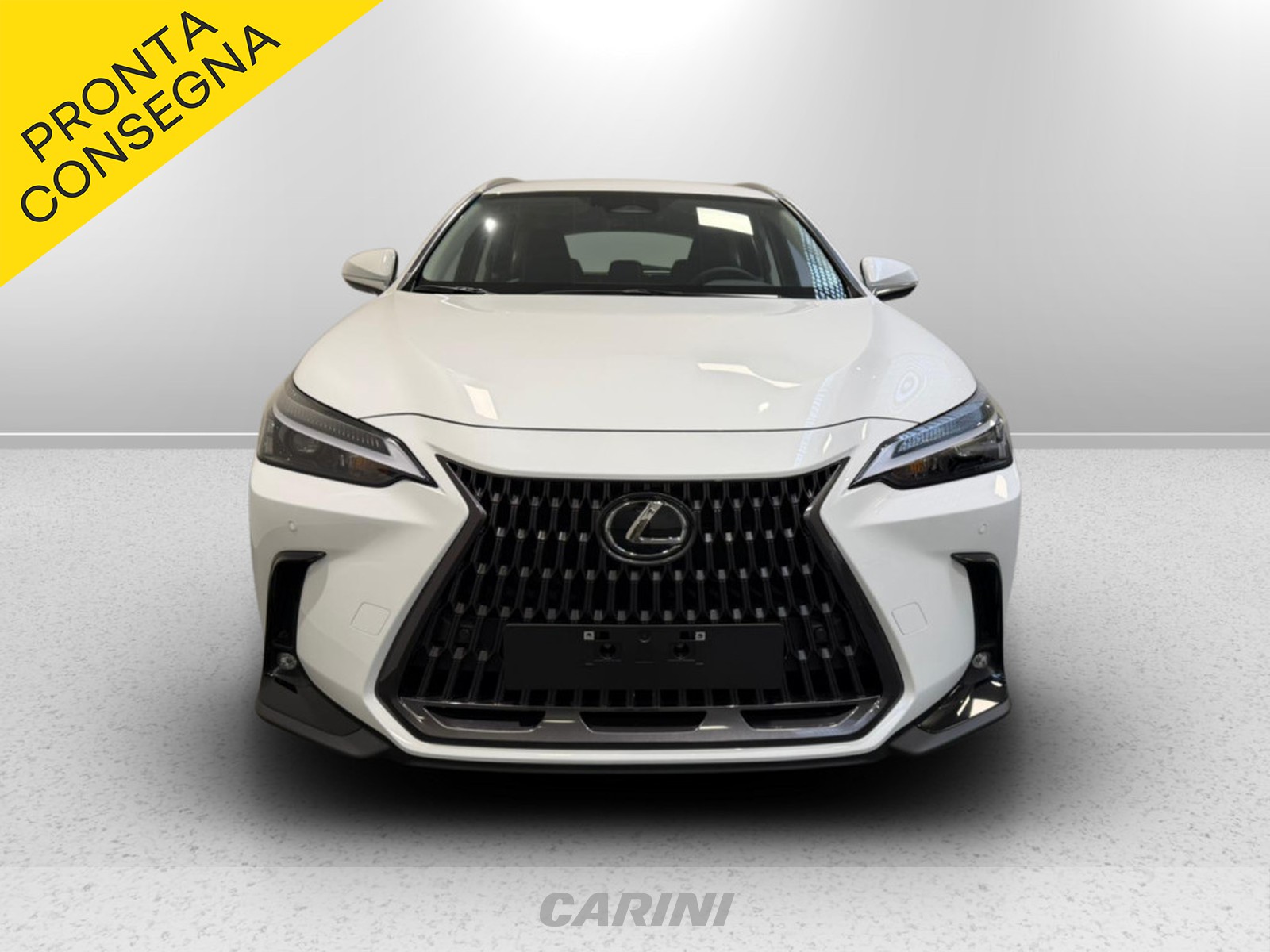CARINI Lexus NX