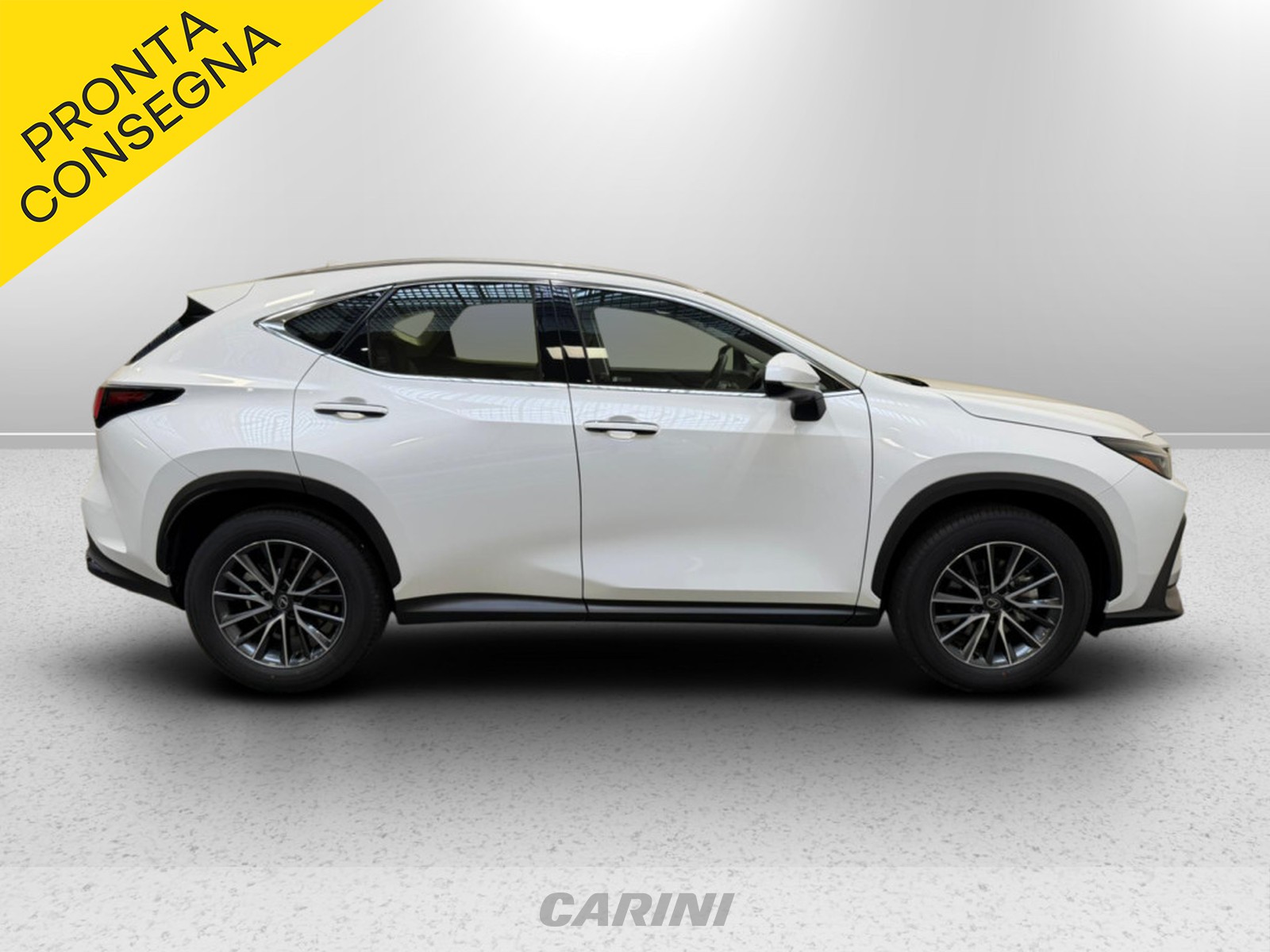 CARINI Lexus NX