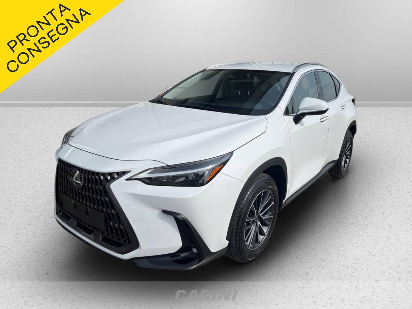 CARINI Lexus NX