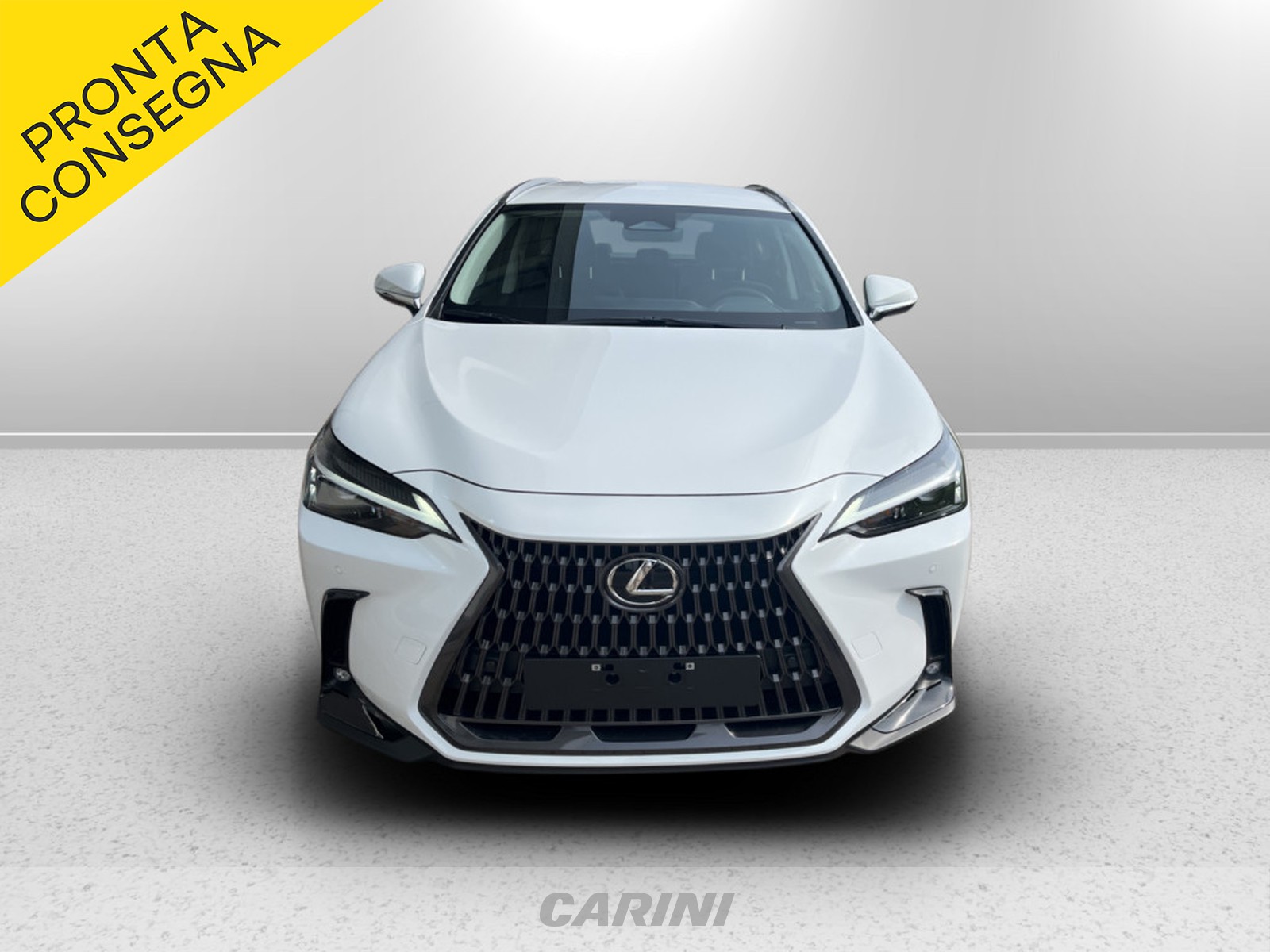CARINI Lexus NX