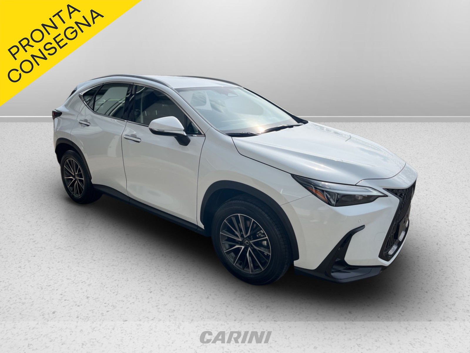 CARINI Lexus NX