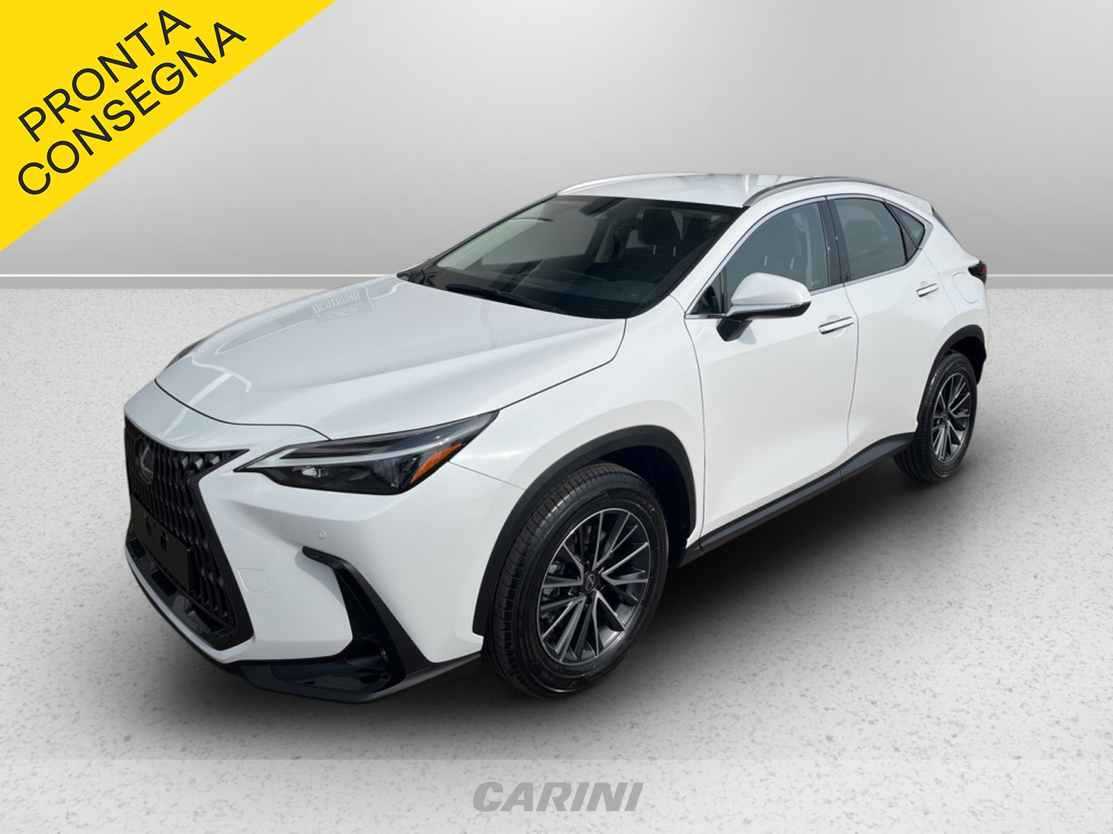 CARINI Lexus NX