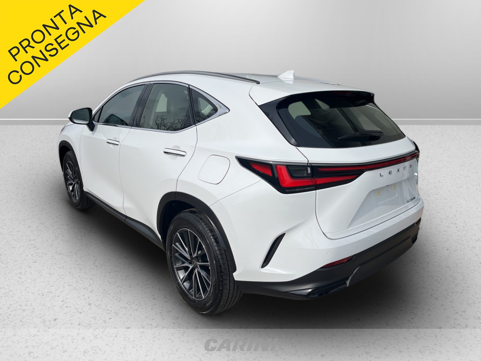 CARINI Lexus NX
