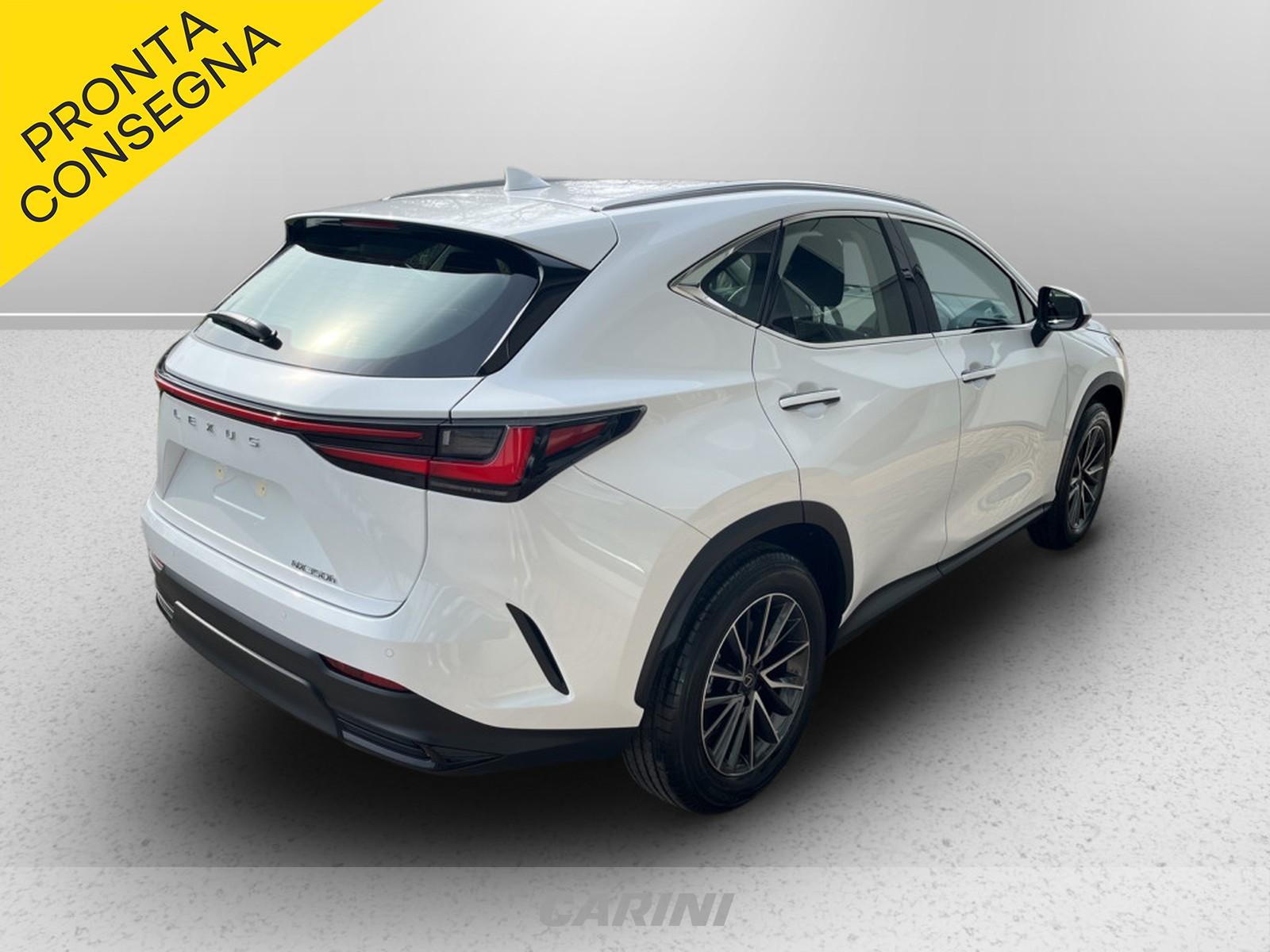 CARINI Lexus NX