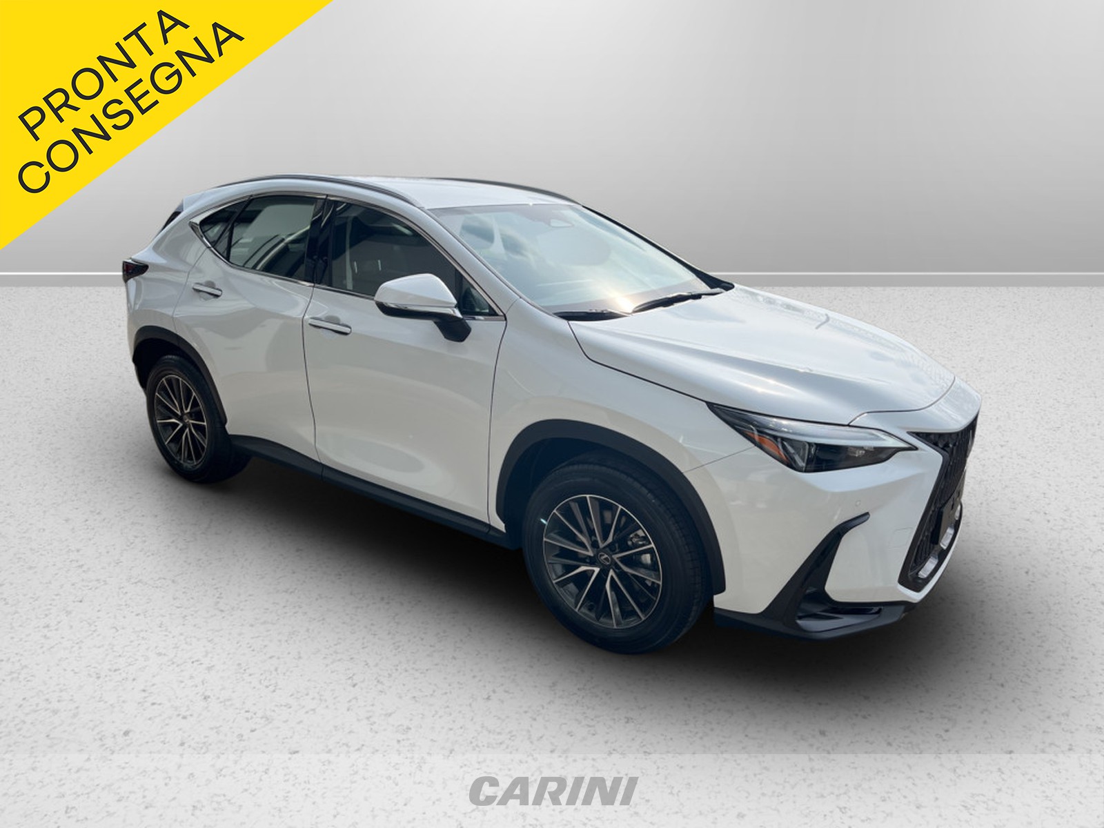 CARINI Lexus NX