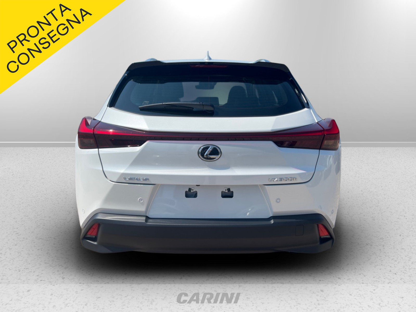 CARINI Lexus UX