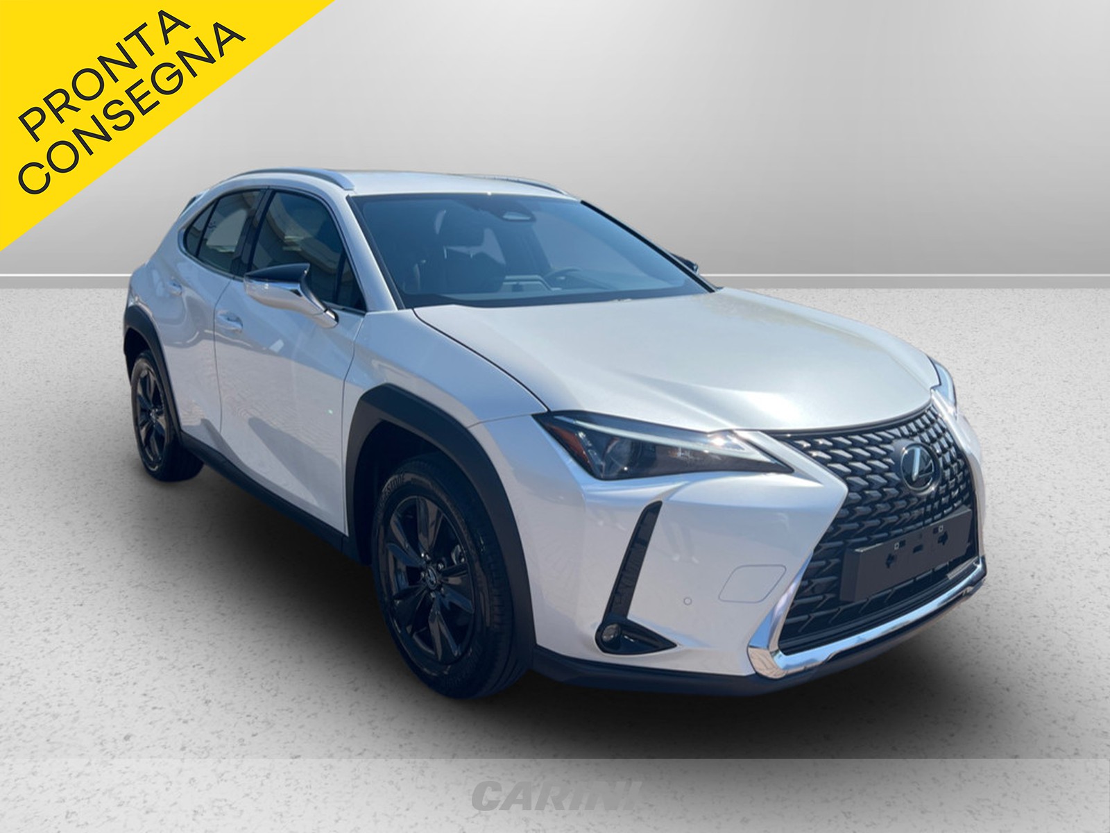 CARINI Lexus UX