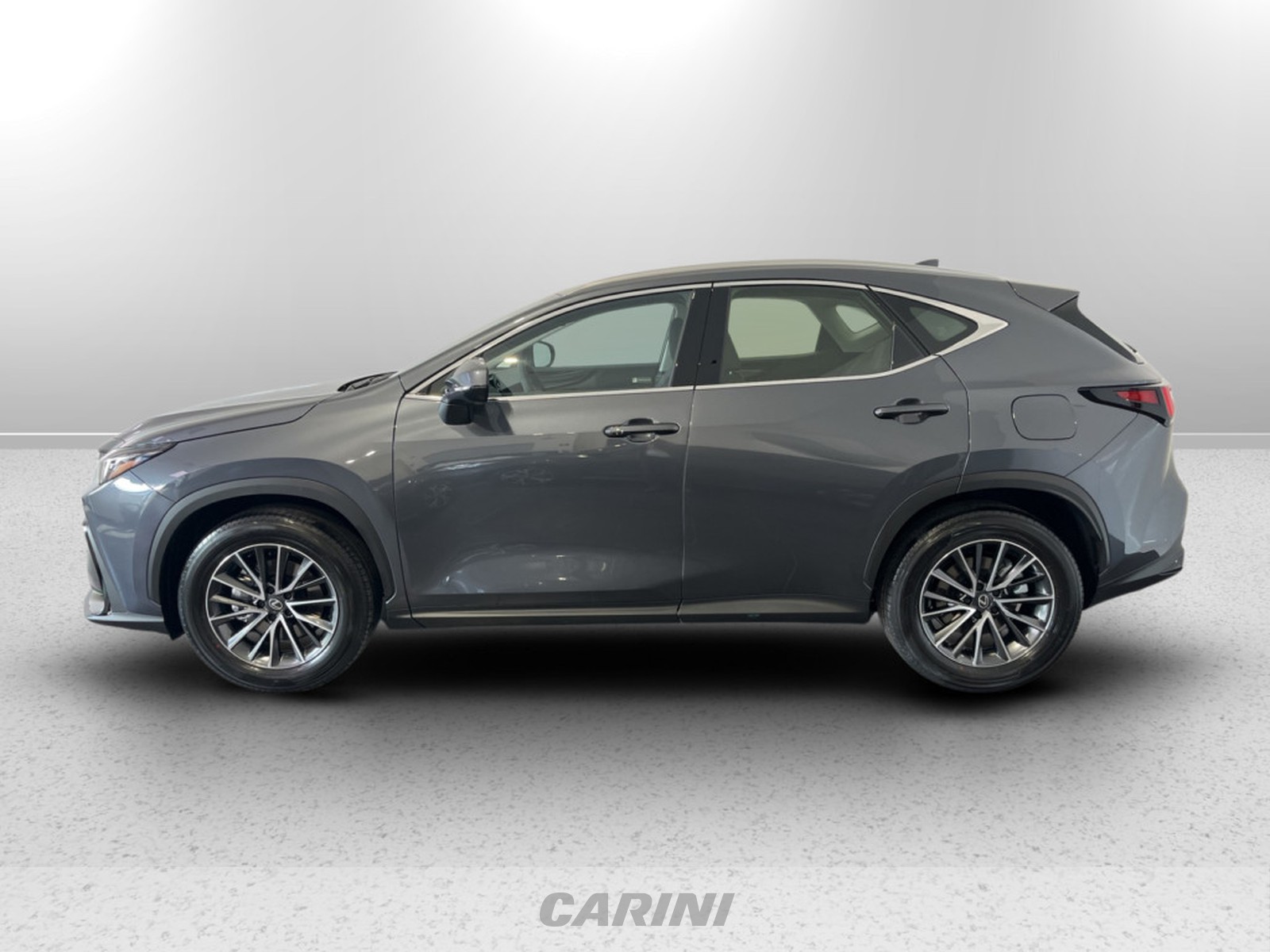CARINI Lexus NX
