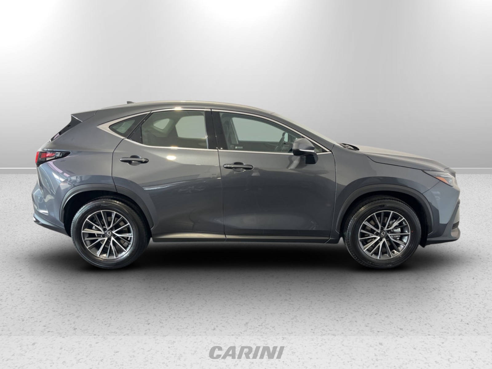 CARINI Lexus NX