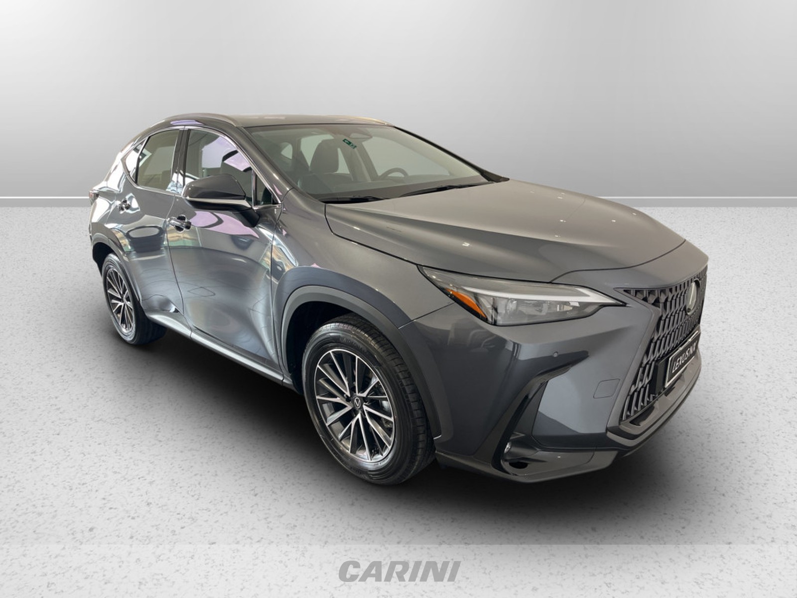 CARINI Lexus NX