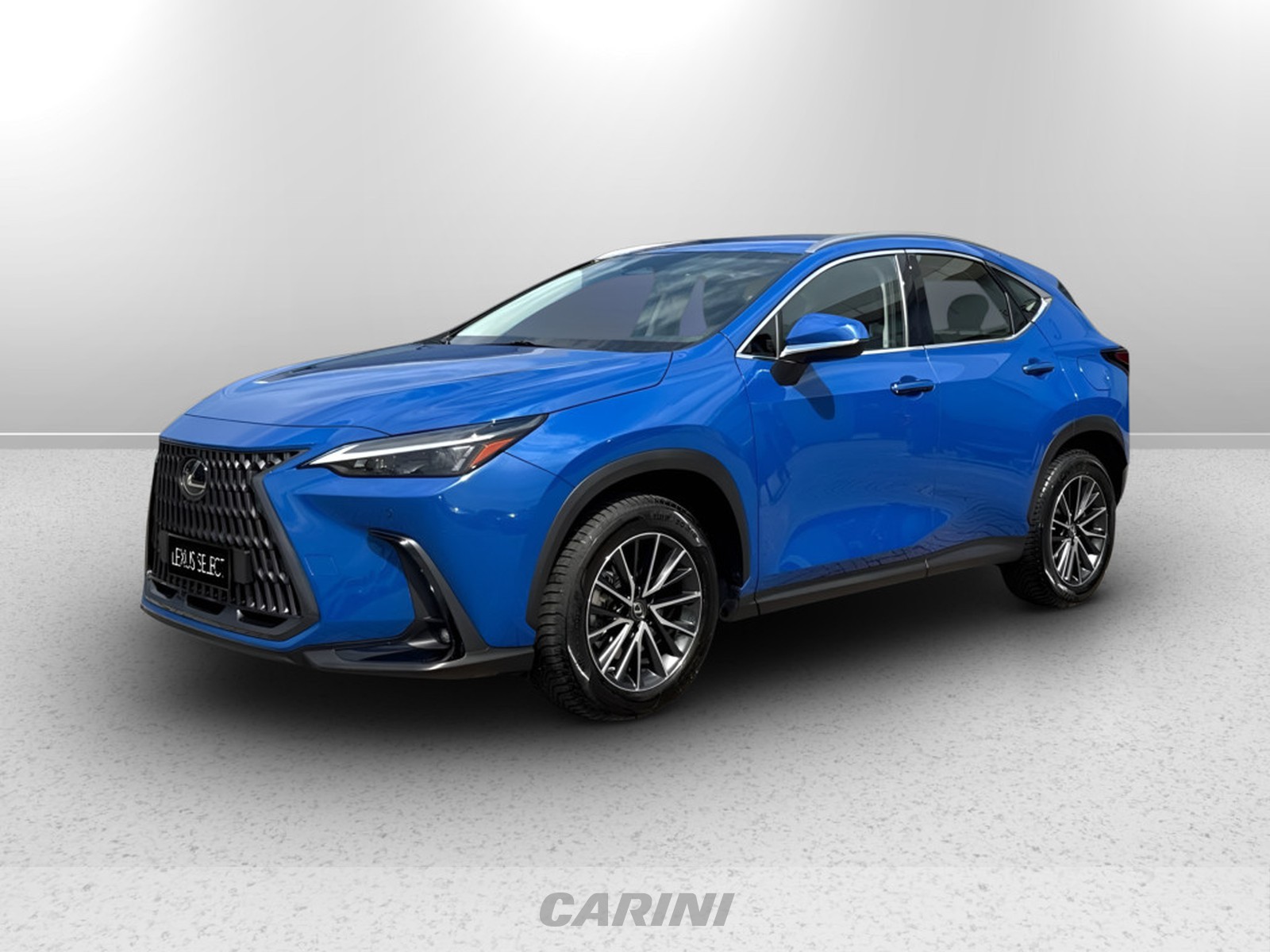 CARINI Lexus NX