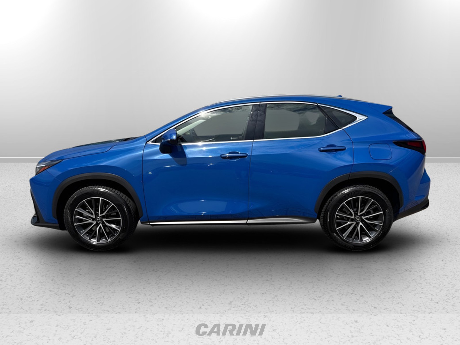 CARINI Lexus NX