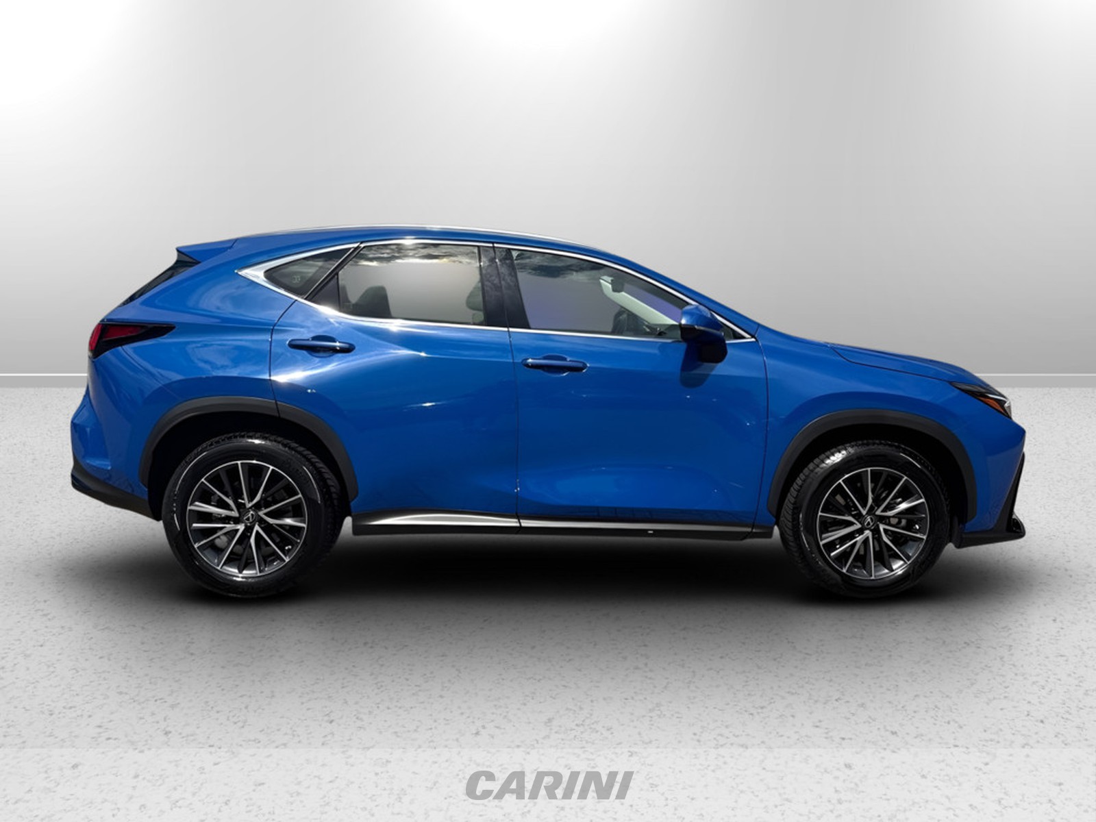 CARINI Lexus NX