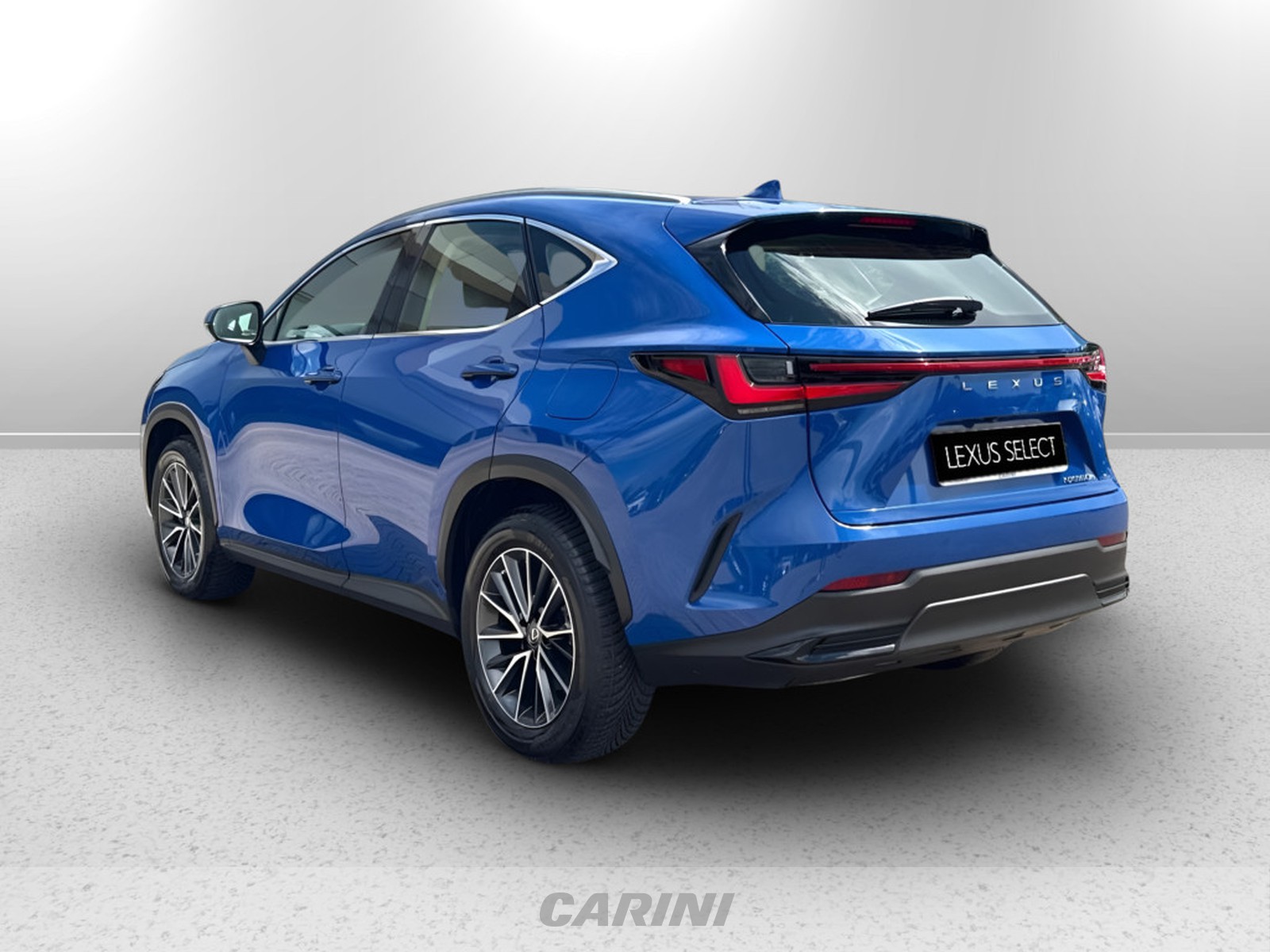 CARINI Lexus NX